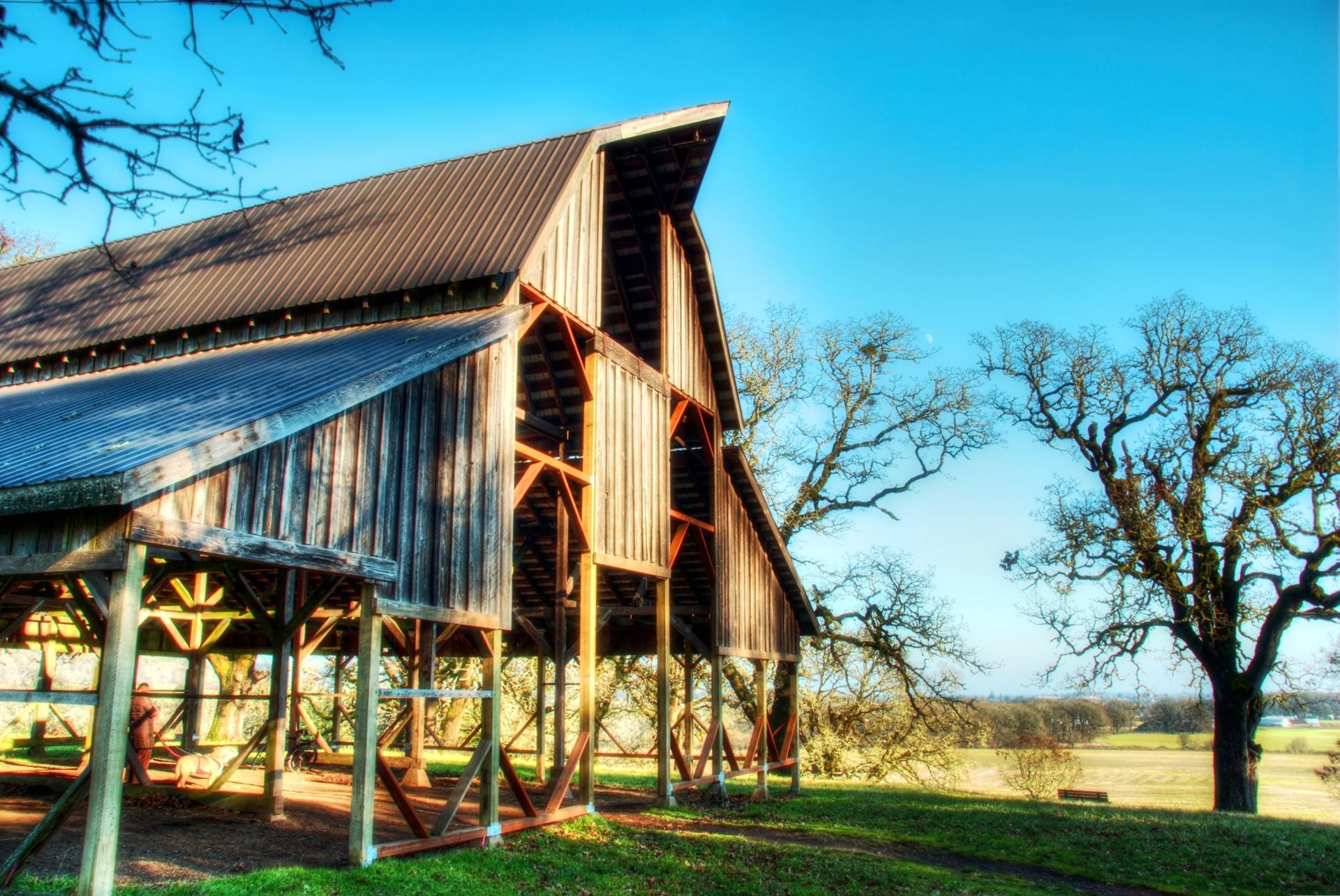 Rustic wooden barn and bare trees on a sunny day with clear blue sky.
