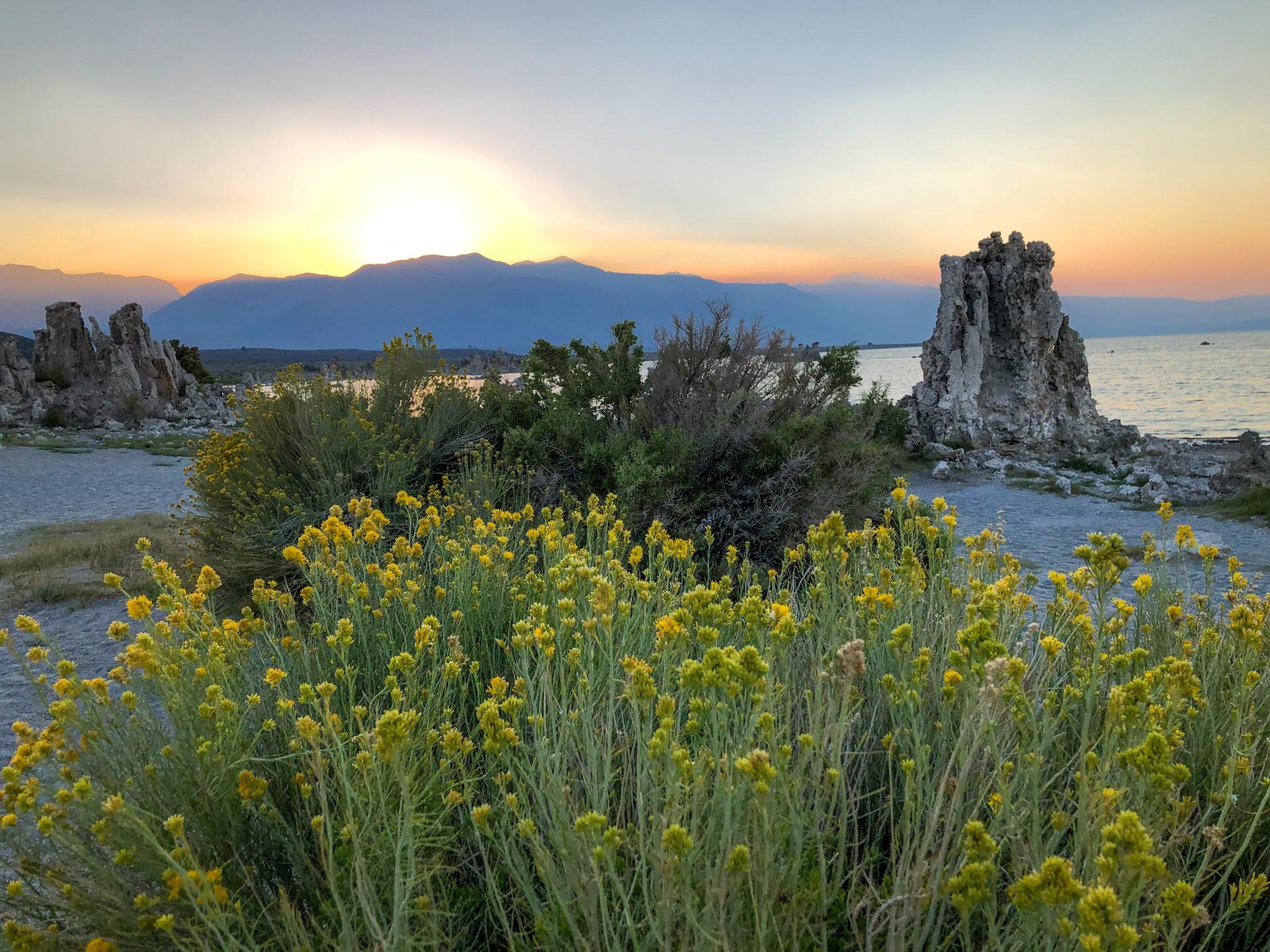Sunset over a lake with prominent rock formations and yellow wildflowers in the foreground.