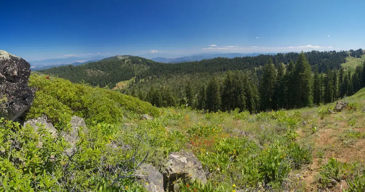 Expansive sunny mountain landscape with green forests and a clear blue sky.