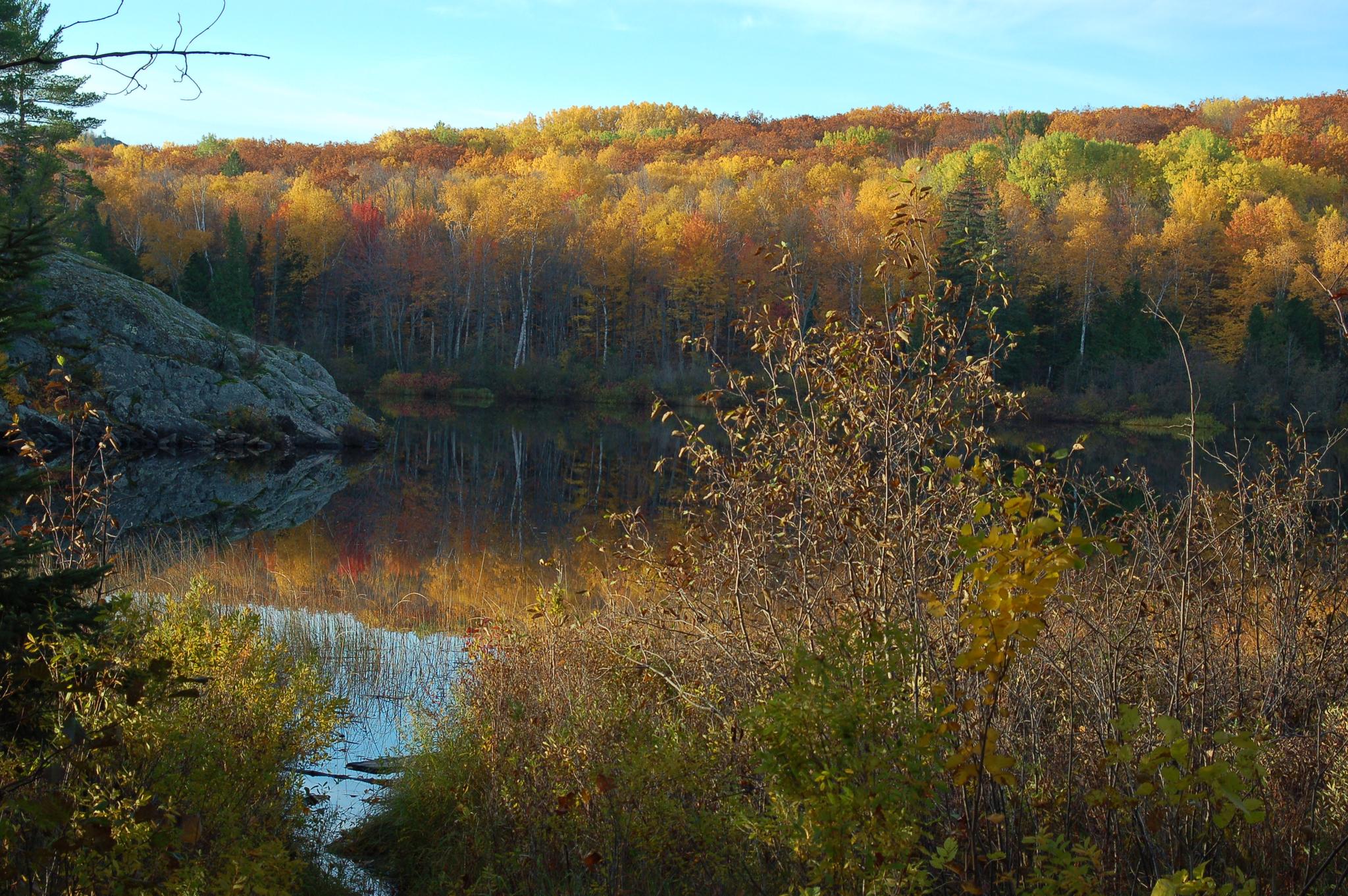 Rocky shore and autumn forest reflected in a tranquil lake under blue sky.