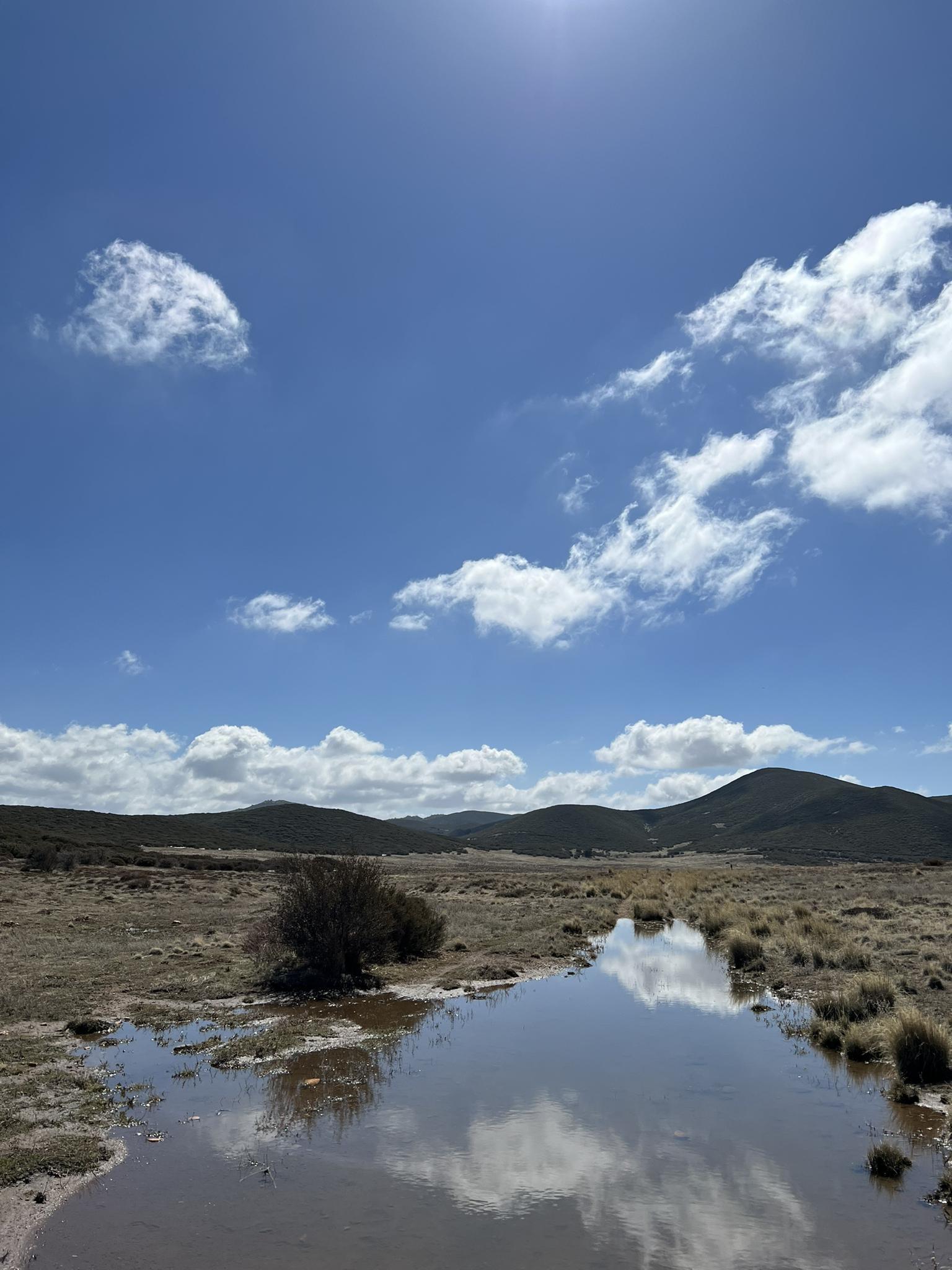 A large puddle reflects a bright blue sky with white clouds in a flat field.