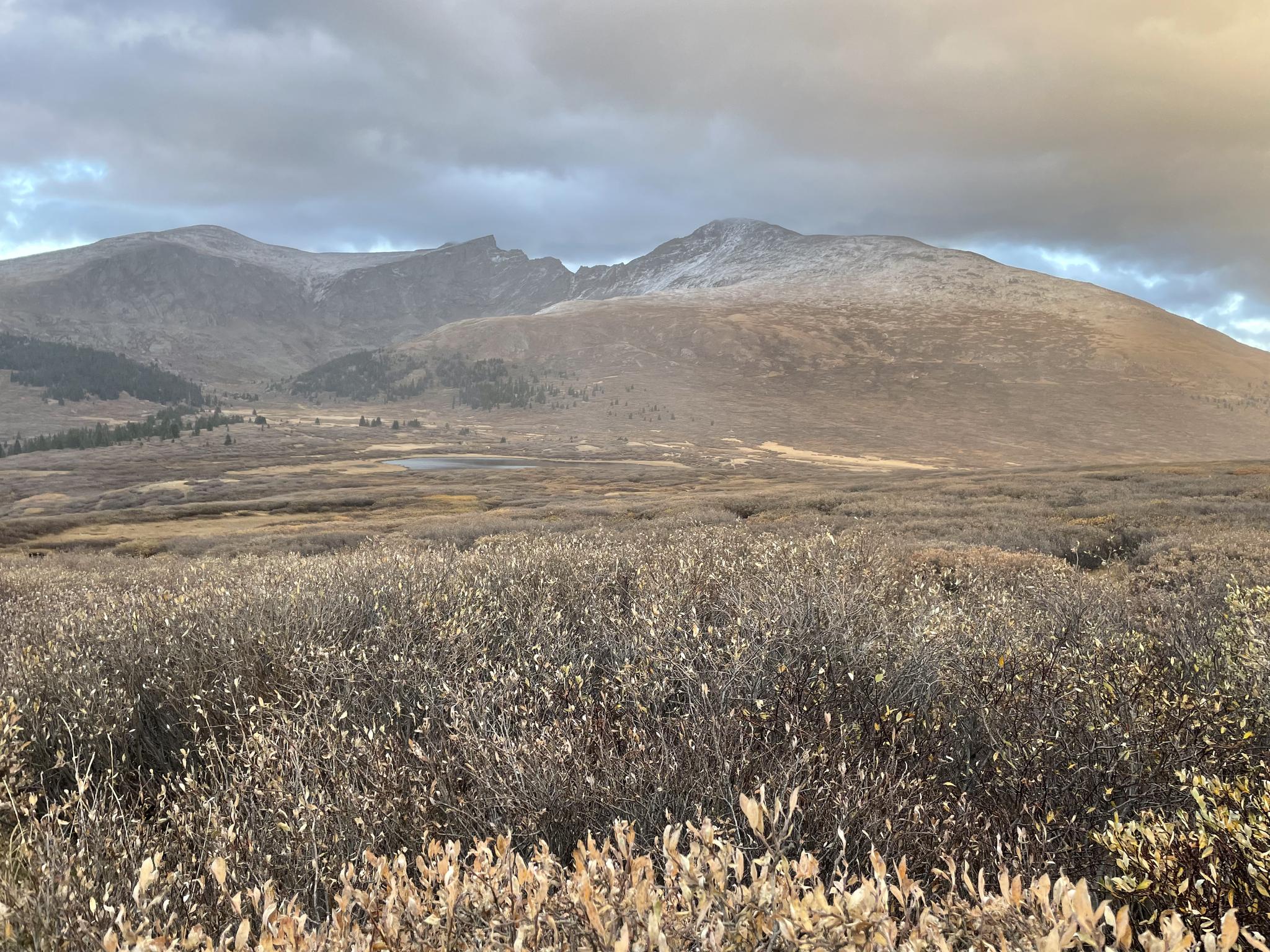 Overcast sky above a vast mountain landscape with shrubs in the foreground.
