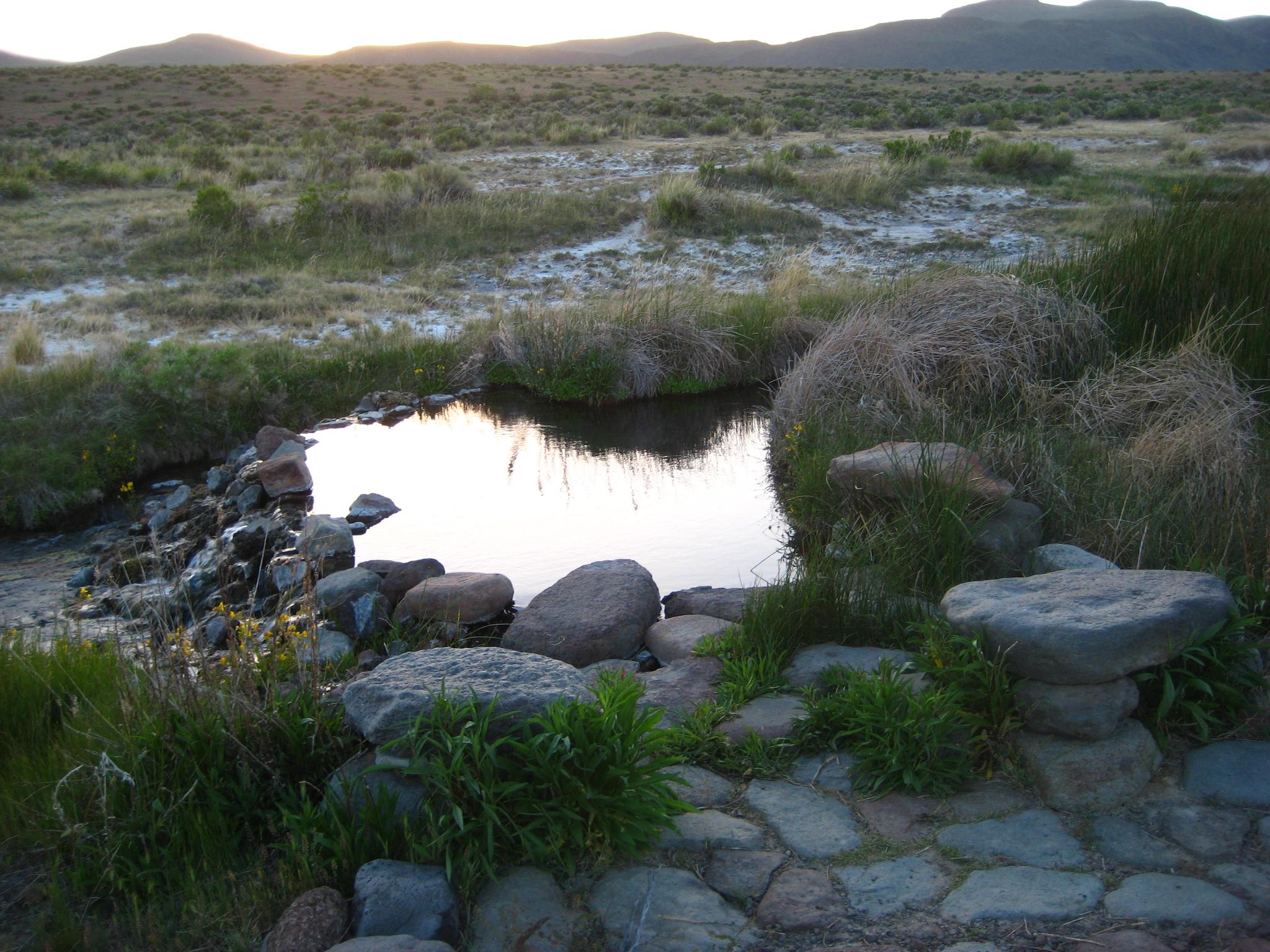 Small pool of water with rocks and grass in a vast, sunny landscape.