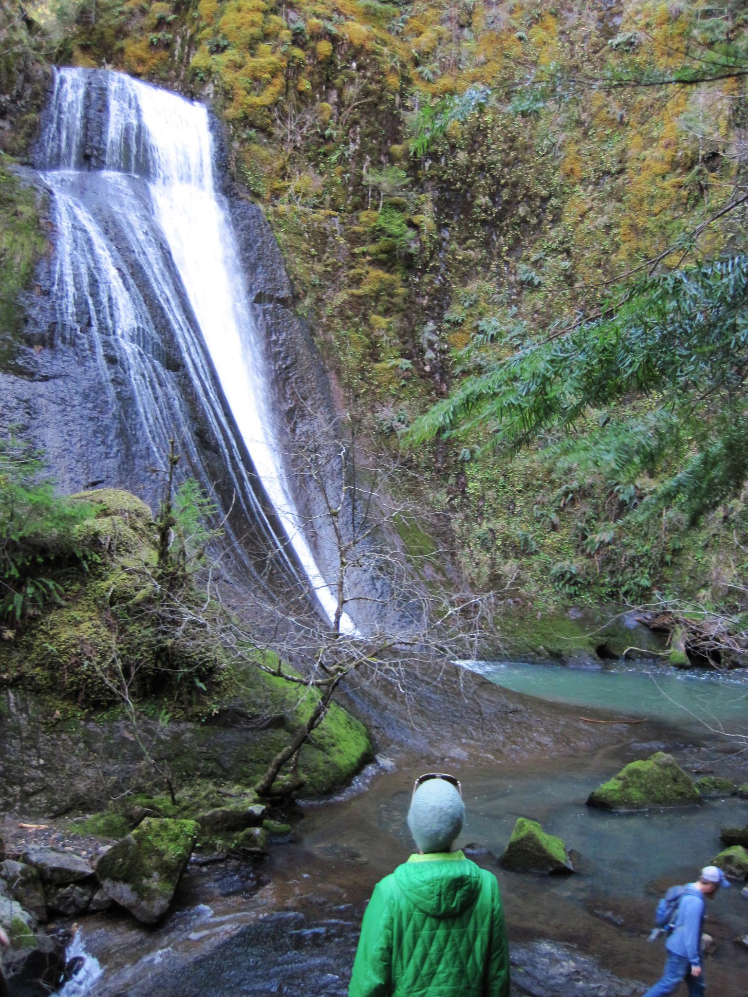People view a tall waterfall cascading into a stream in a green forest.