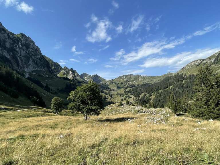 Brecca-Urlandschaft: Wanderungen und Rundwege | komoot