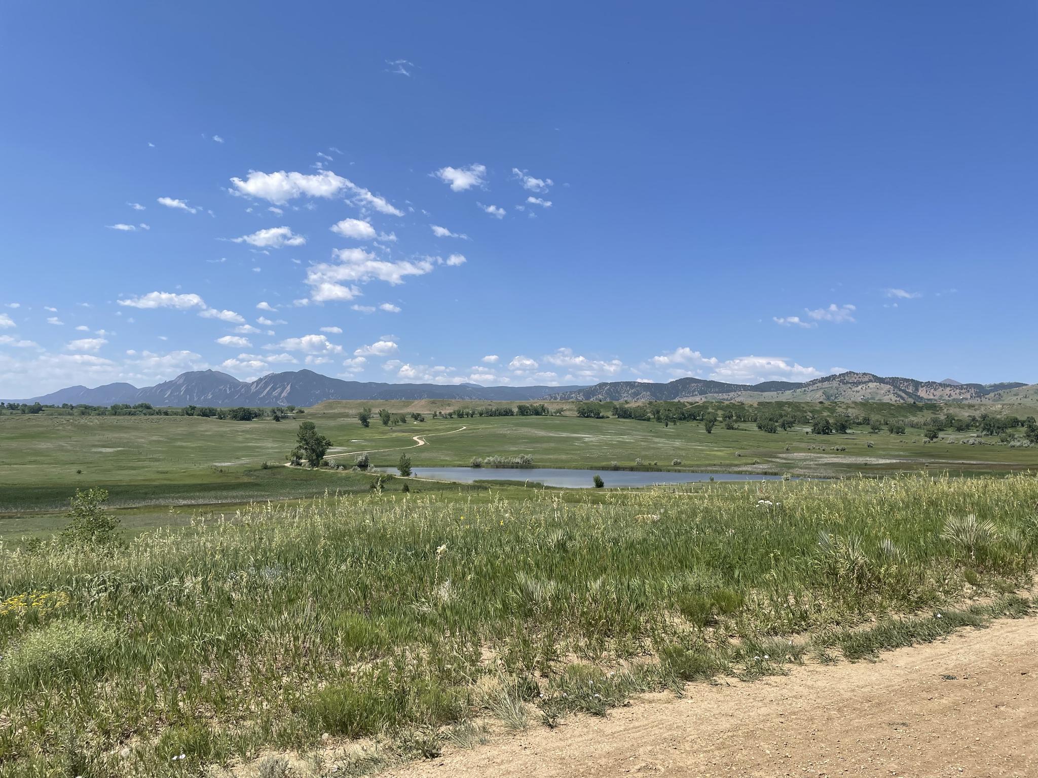 Expansive green field with a small pond and distant mountains under blue sky.
