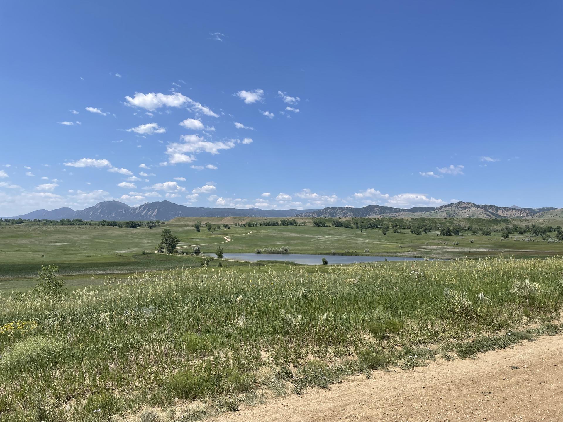 Expansive green field with a small pond and distant mountains under blue sky.