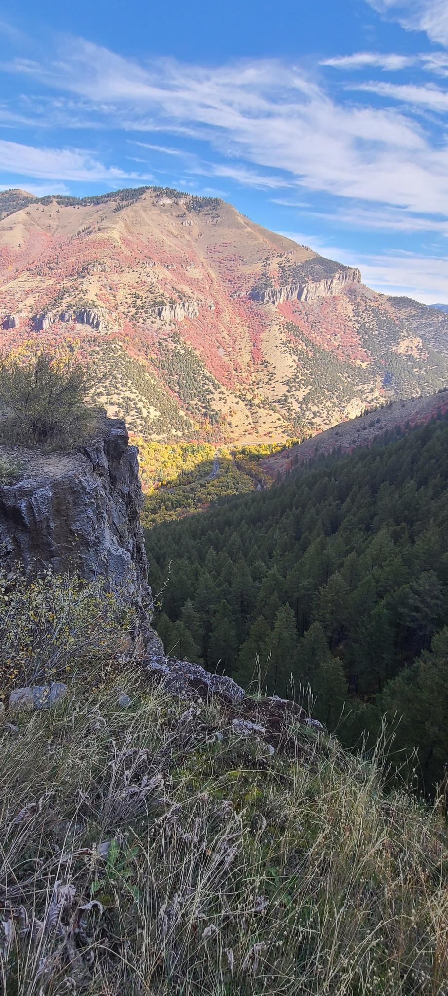 Panoramic mountain view with colorful autumn slopes, deep valley, and cliff edge.