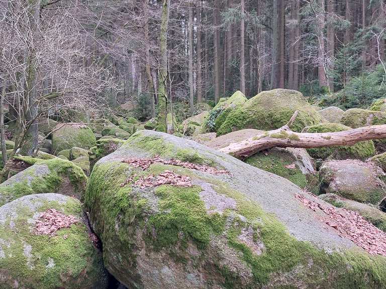 Doost Nature Reserve