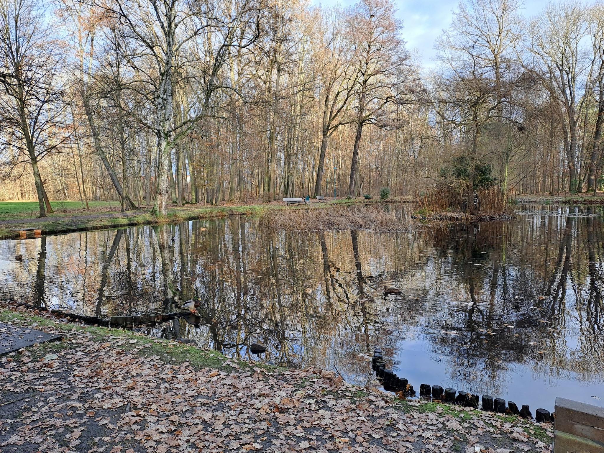 0?width=640&height=360&crop=true&q=70 Tourismus Bad Lausick &ndash; Touren - Gro&szlig;er Kurparkring (TK 2)