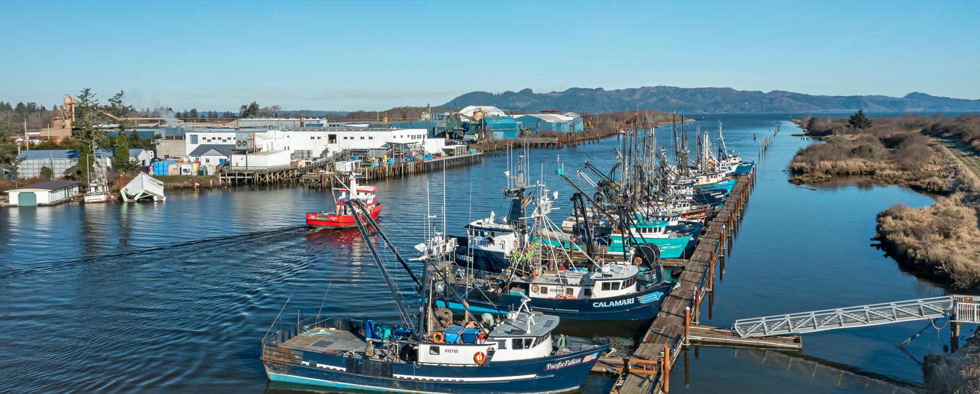 Numerous fishing boats docked along a river with industrial buildings under a clear sky.
