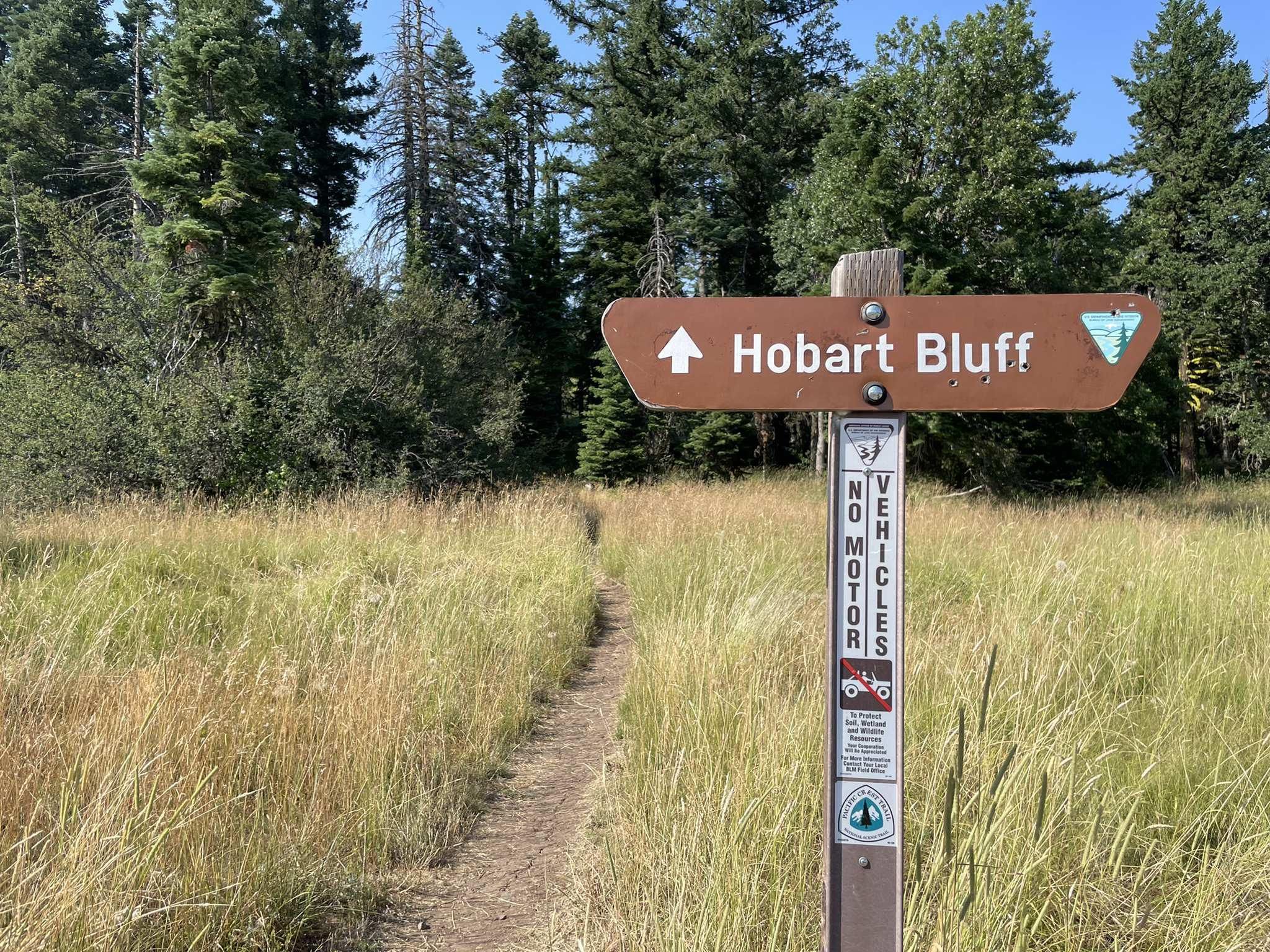 A trail sign on a dirt path through tall dry grass and green trees. - Hobart Bluff Trail