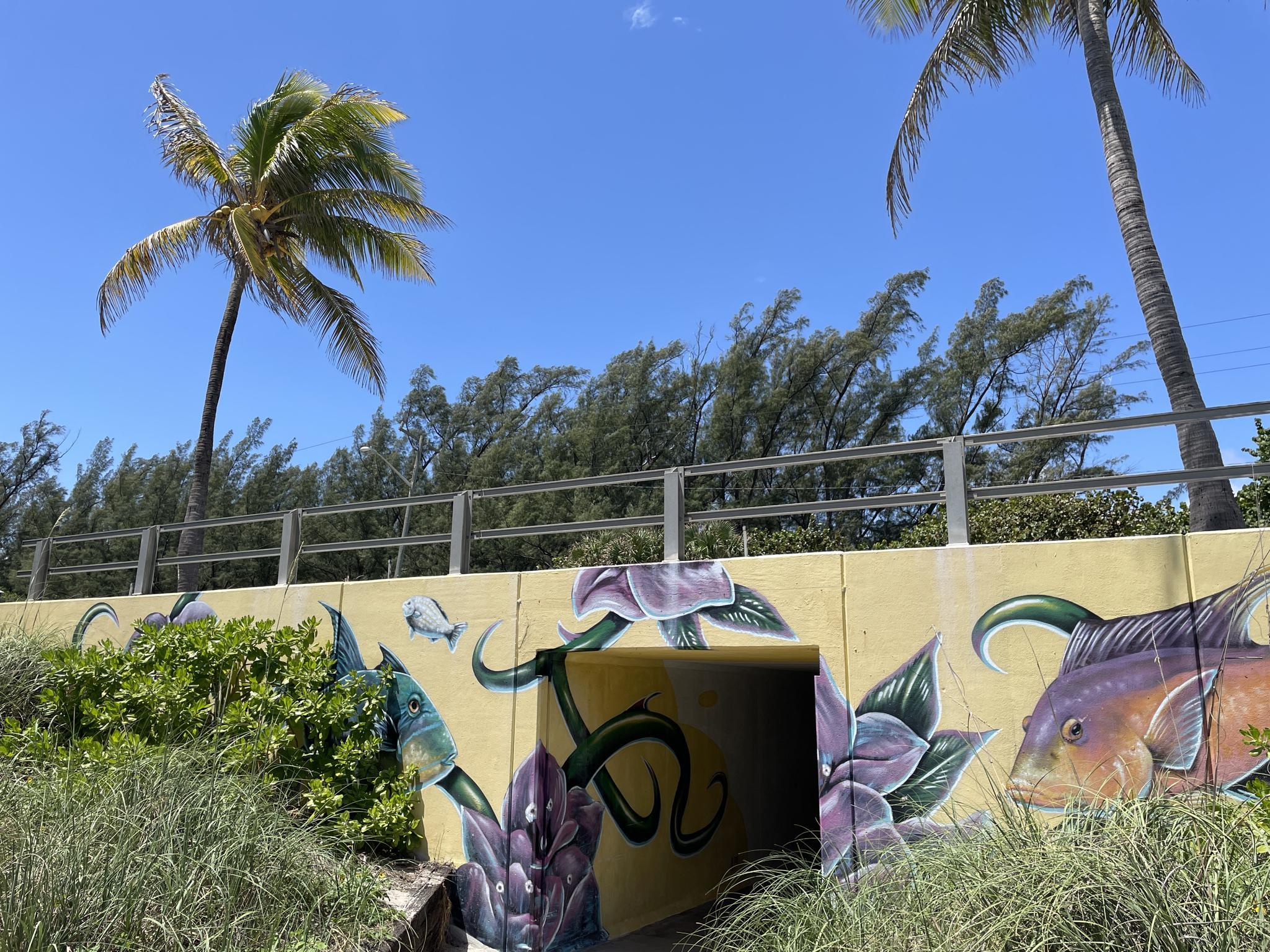 Underpass with colorful fish mural, surrounded by green plants and tall palm trees.