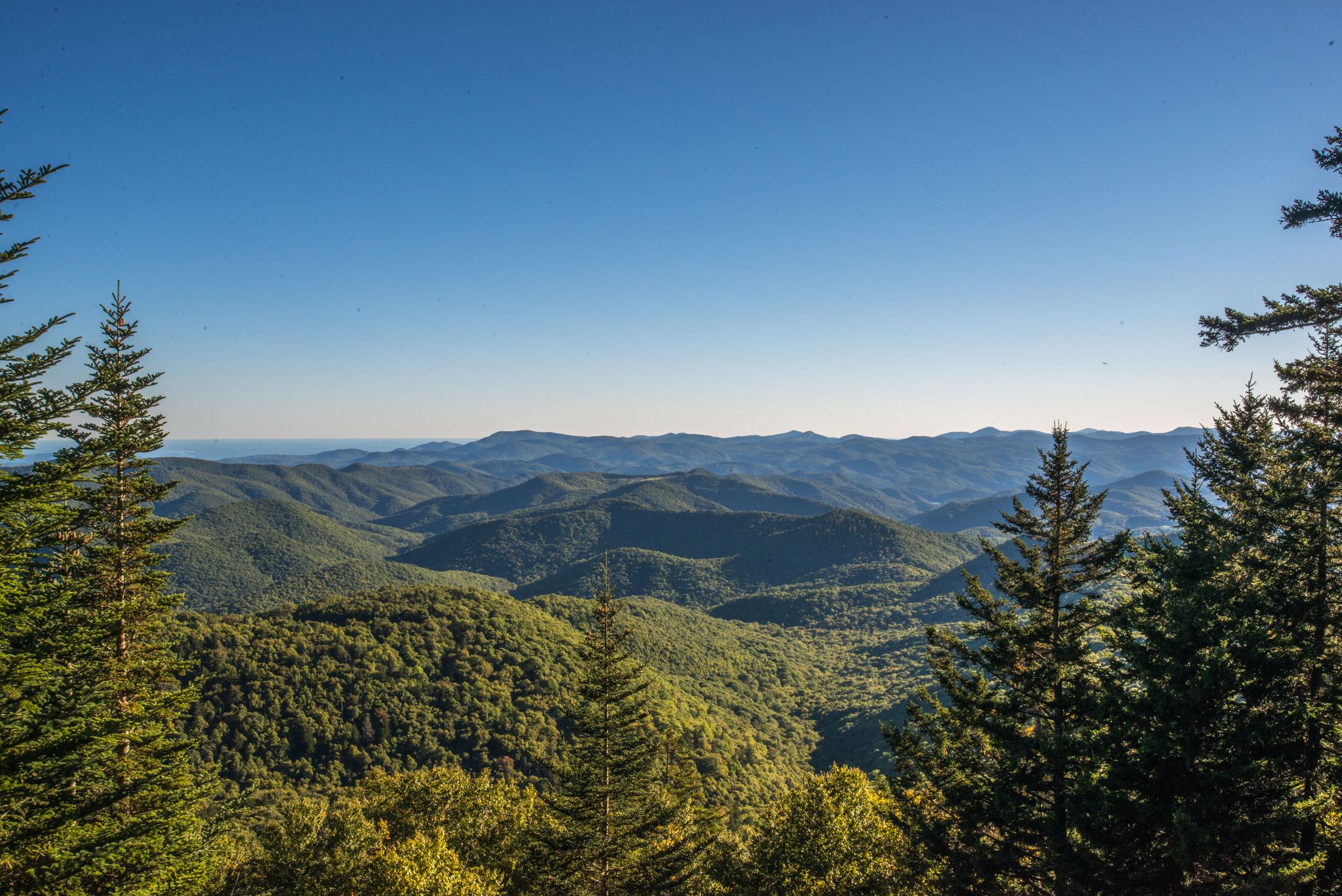 Expansive vista of green forested mountains under a bright clear blue sky. - Lake Logan – Herrin Knob View loop from Jukebox Junction Restaurant and Soda Shop