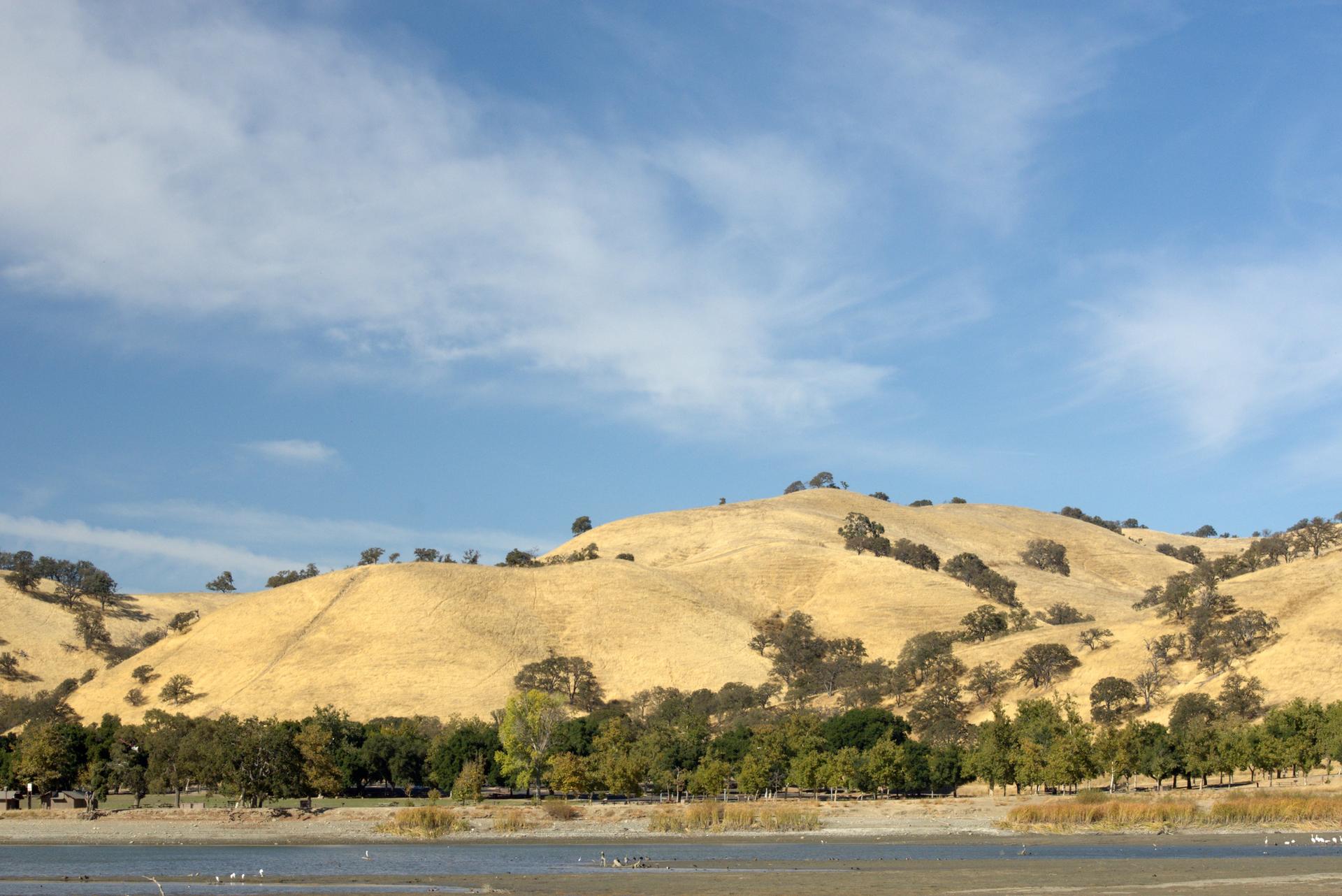 Golden hills with scattered trees under a bright blue sky, beside calm water.