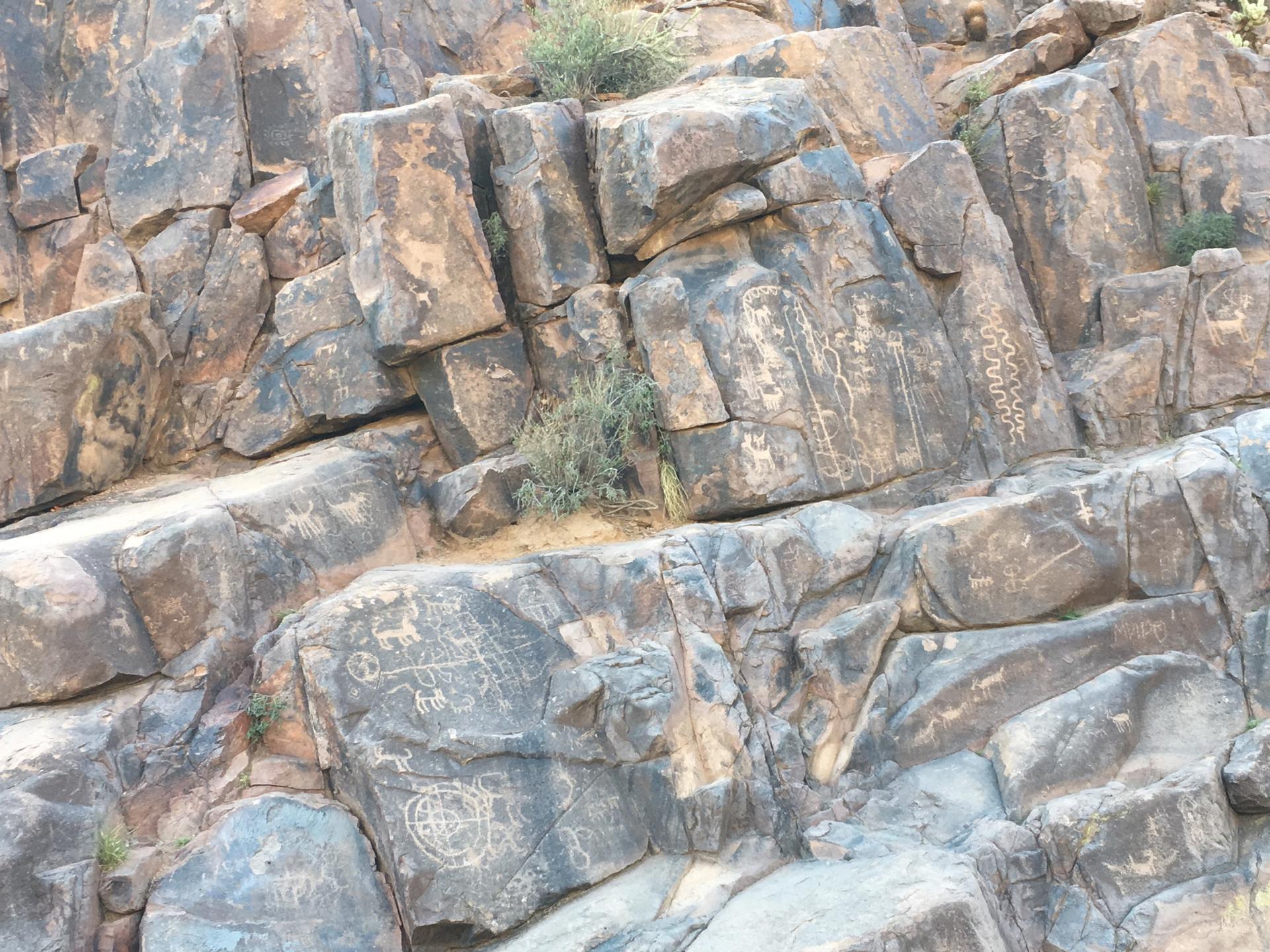 Close-up of a rocky cliff face with ancient petroglyphs carved into the stone.