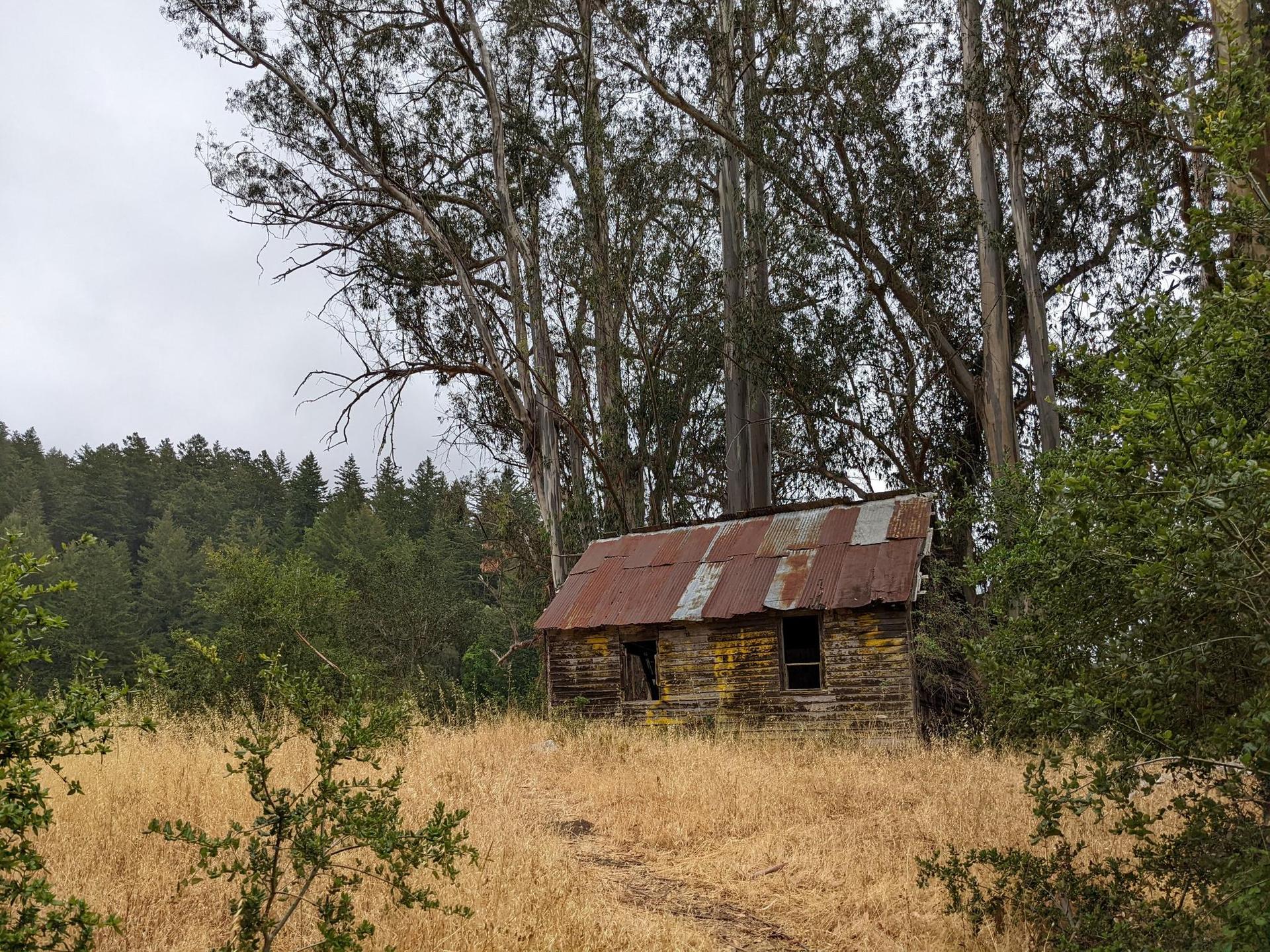 Dilapidated wooden shack with a rusty roof in a dry field under cloudy skies.