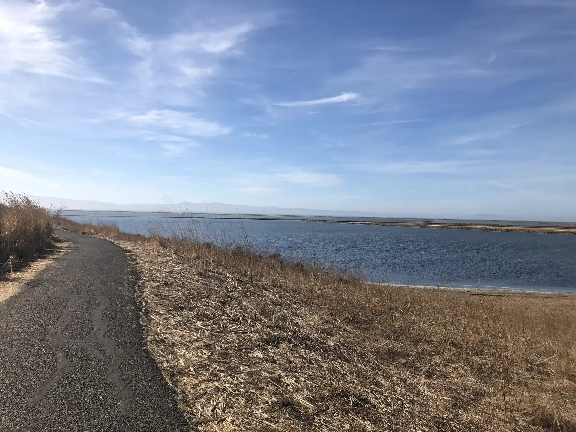 Paved path curves along a large body of water under a bright blue sky.