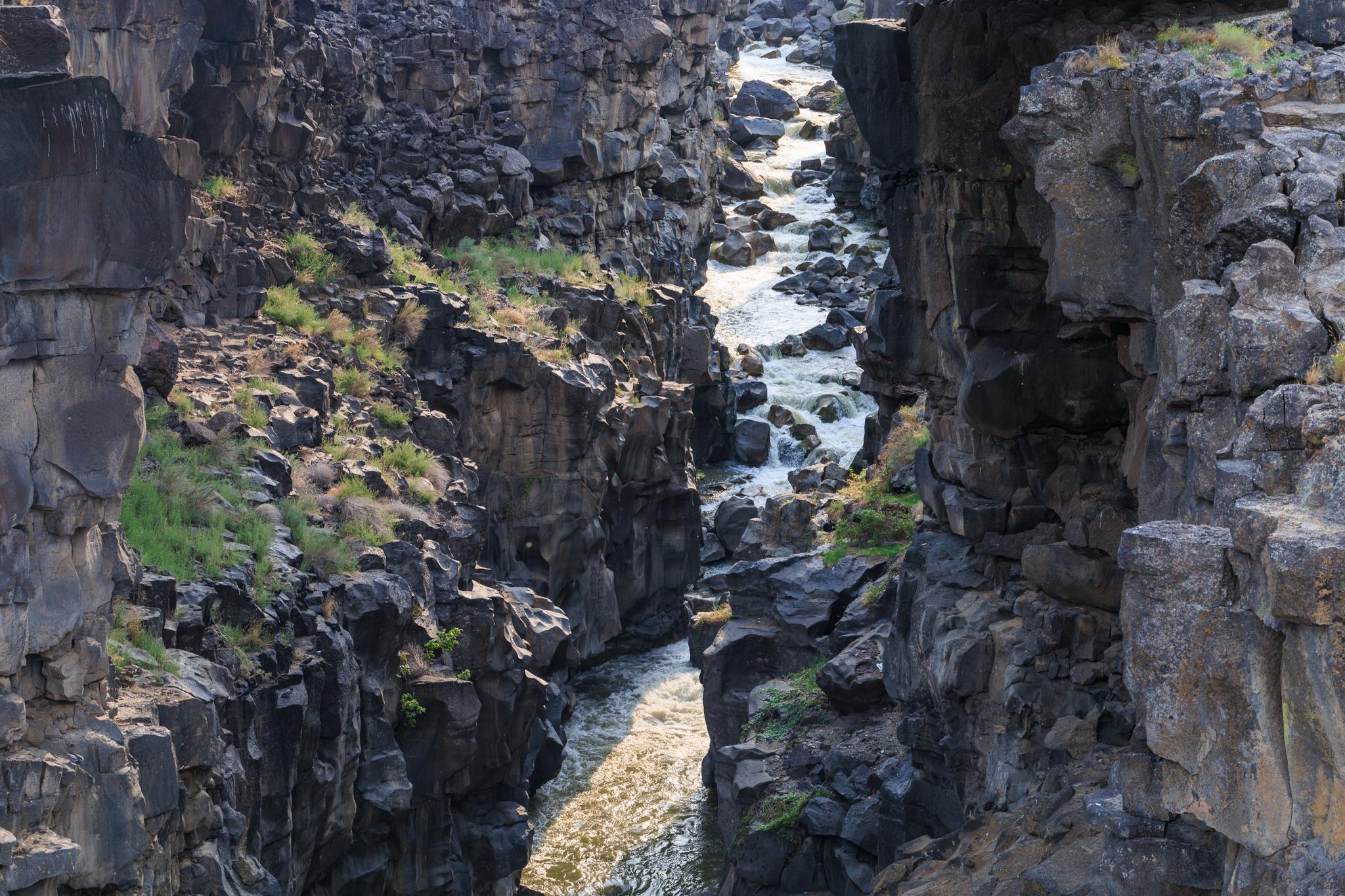 Sunlit river flows through a deep, narrow, rocky canyon with green patches.