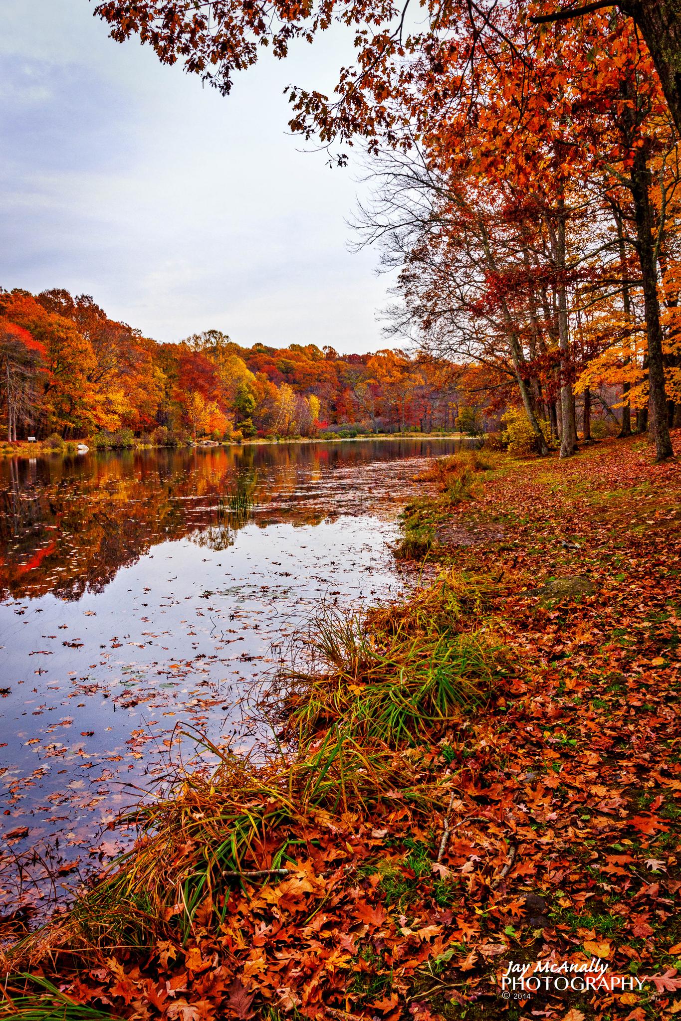 Calm lake reflecting vibrant autumn trees and fallen leaves under soft light.