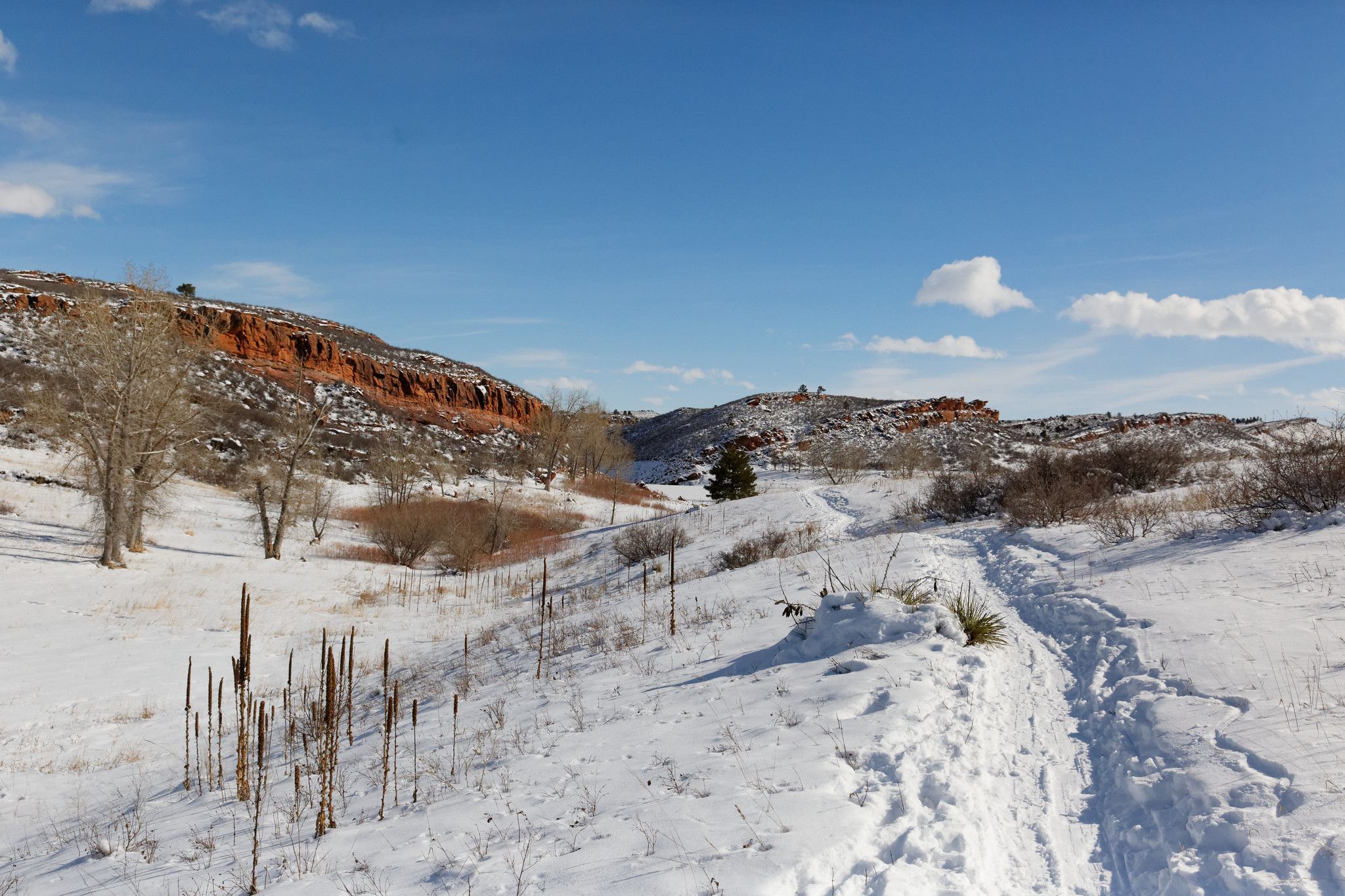 Snow-covered valley with red rock formations and bare trees under a blue sky. - East Valley Trail & South Valley Trail loop