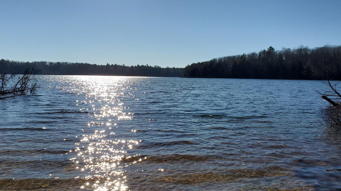 Bright sun glares on a lake with a distant forested shoreline.