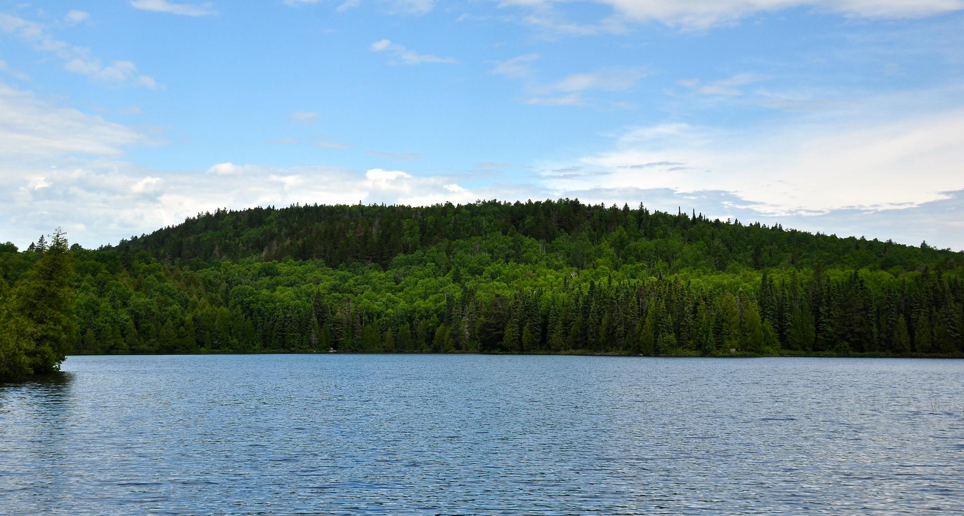 A calm lake reflects a forested hill under a bright blue sky.