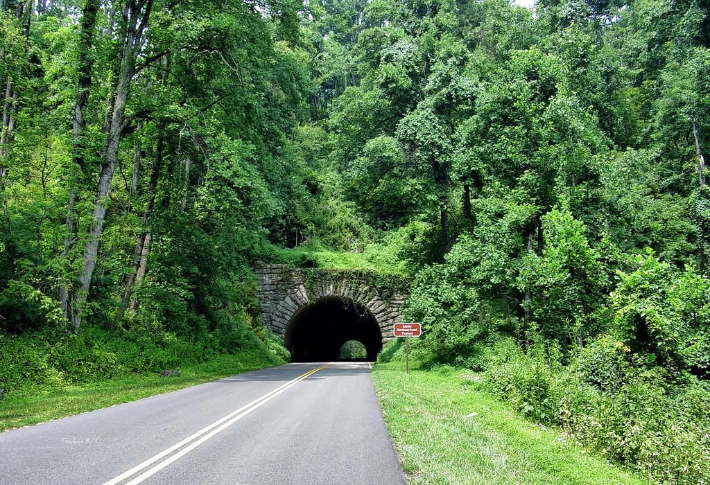 Road leads into a dark stone tunnel surrounded by lush green forest. - Mountains to Sea Trail