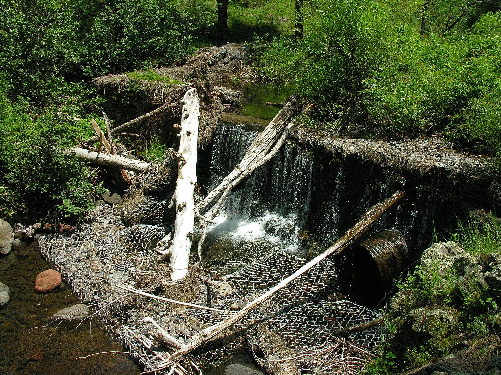 A small waterfall cascades over rocks and debris in a lush green stream.