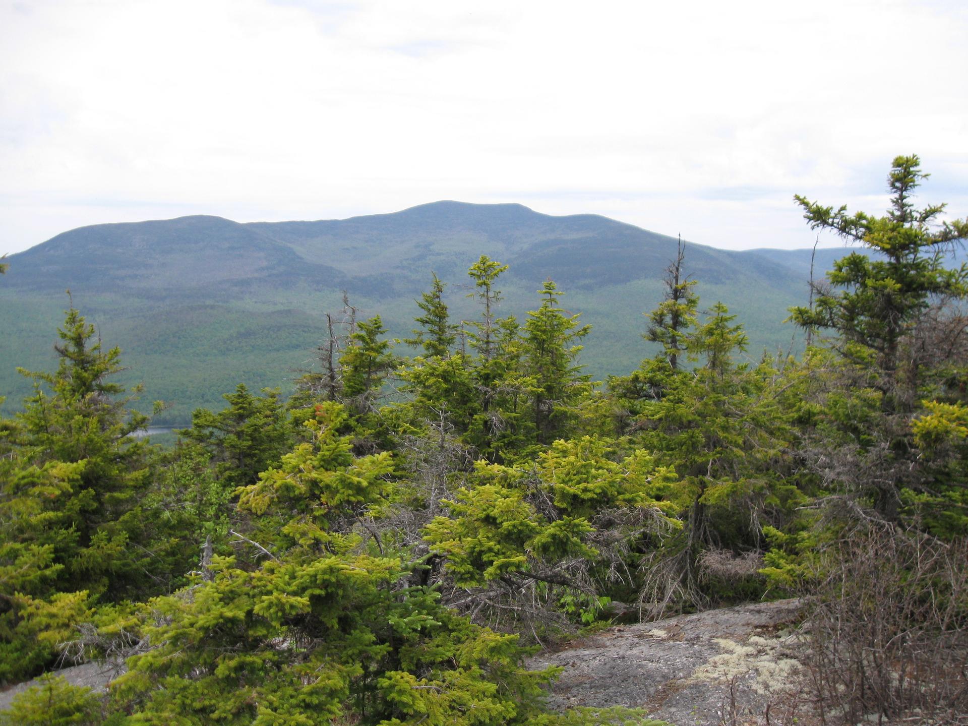 Overcast mountain landscape with dense evergreen trees in the foreground.