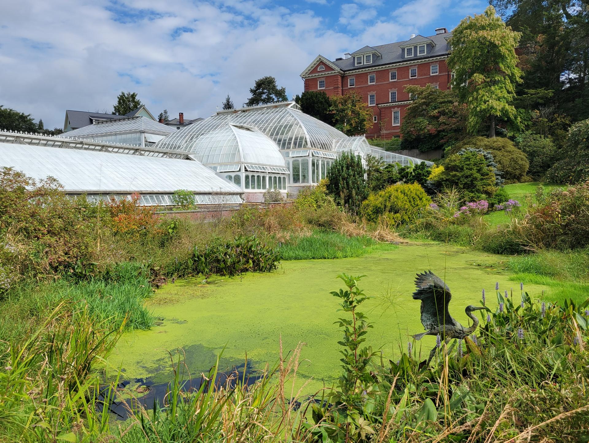 Large greenhouses and brick building beside an algae-covered pond on a bright day.