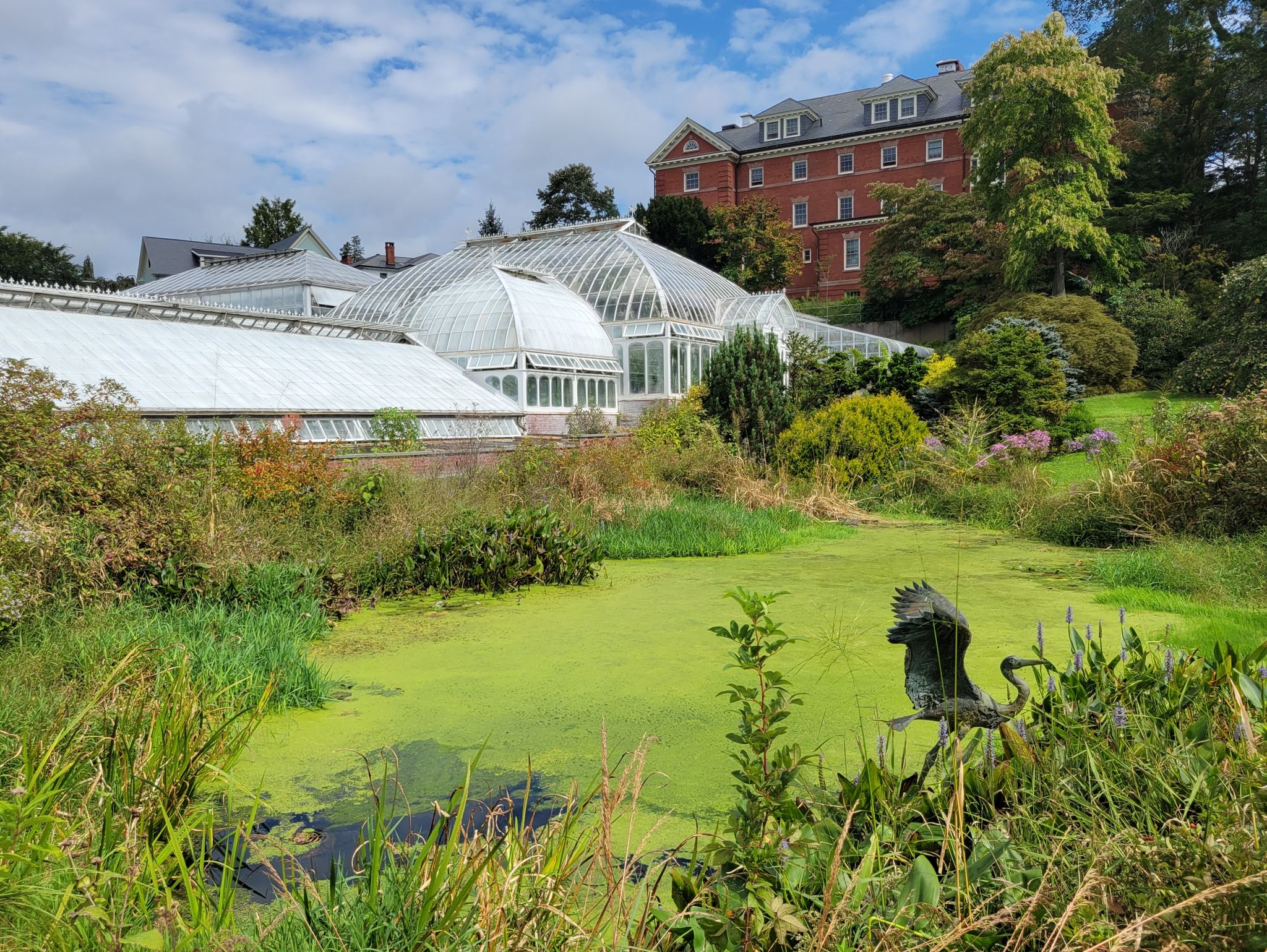 Large greenhouses and brick building beside an algae-covered pond on a bright day. - Running loop from Northampton