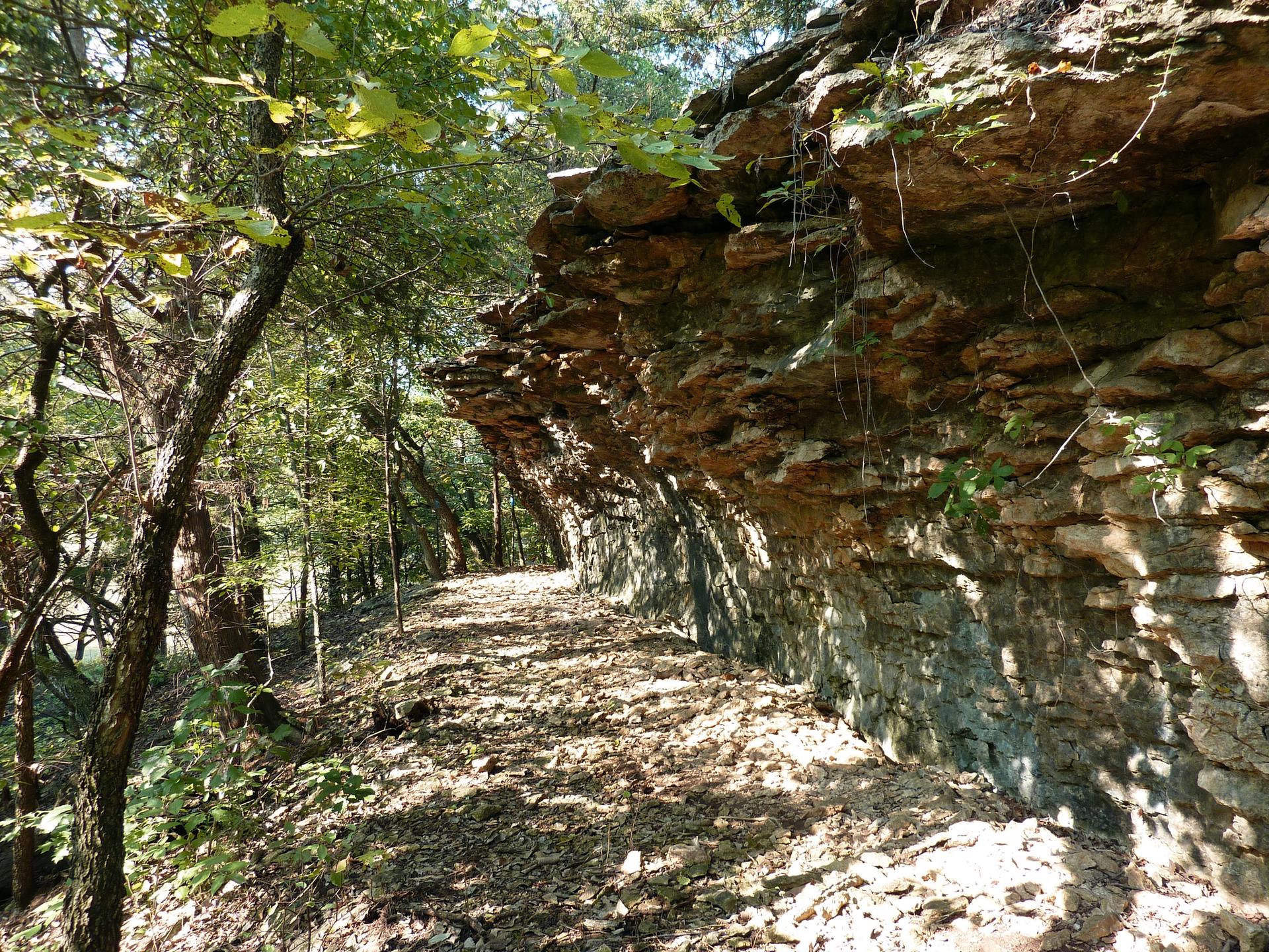 Shaded forest path alongside a long, rocky overhang.