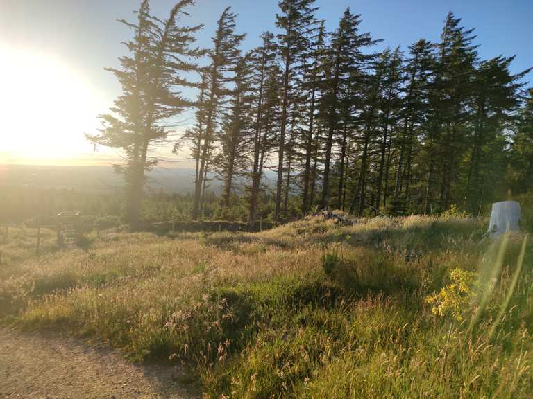 Ticknock Forest Routes for Walking and Hiking Komoot