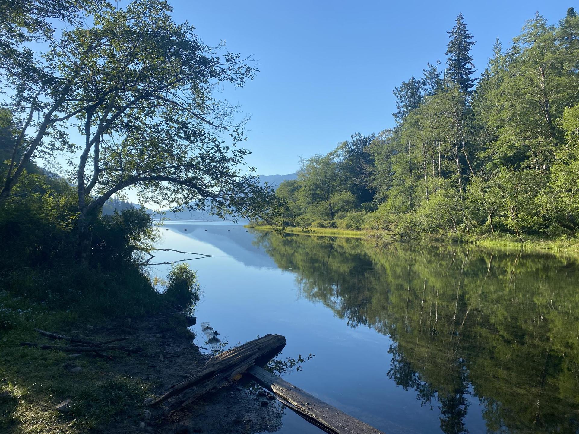 A calm lake reflects green trees and hills under a clear blue sky.