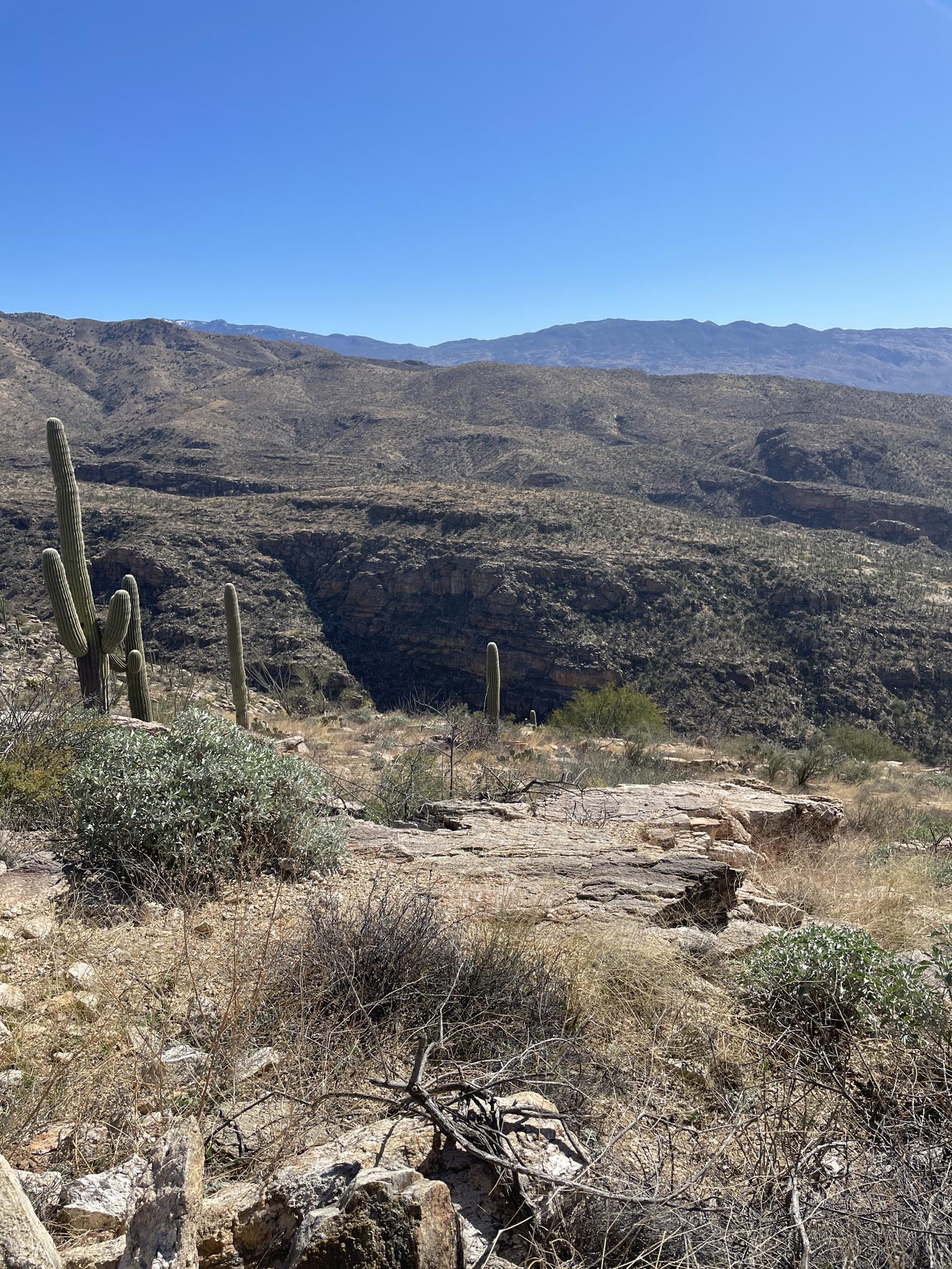 Desert canyon view with saguaro cacti, rocky terrain, and distant mountains.