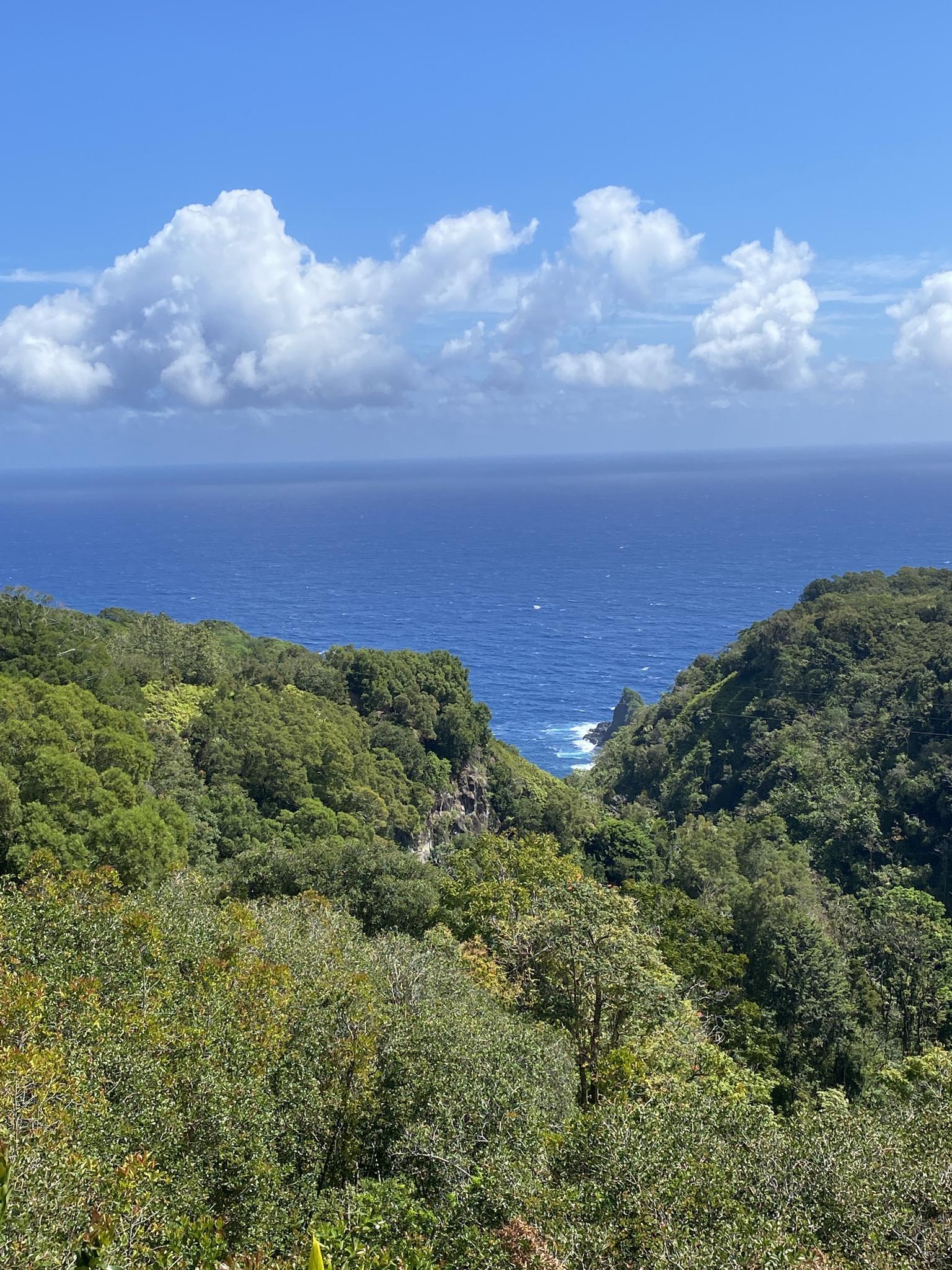 An expansive view of the blue ocean beyond green forested cliffs under white clouds.