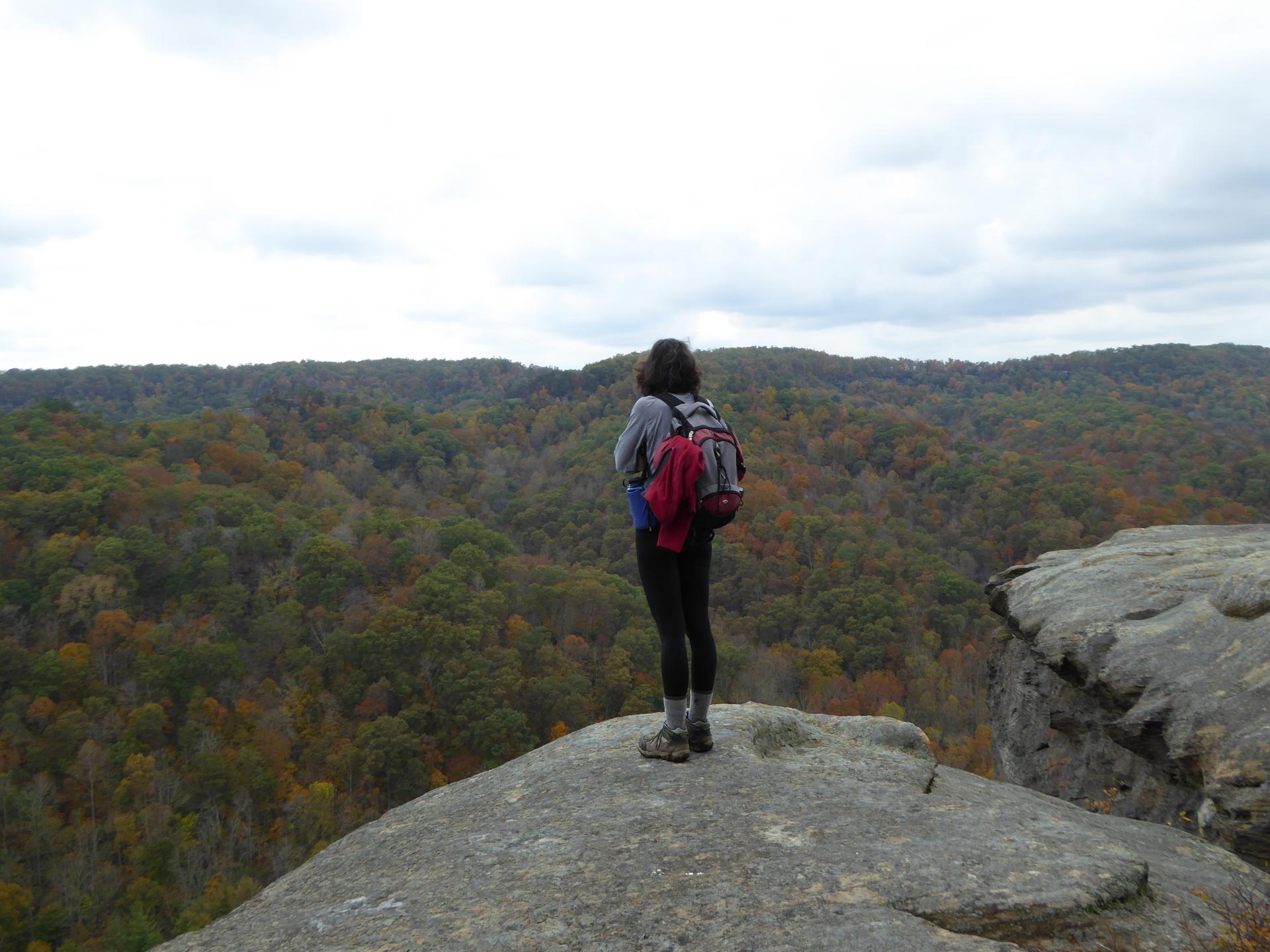 Person on a rocky cliff overlooking a vast autumn forest under cloudy skies.