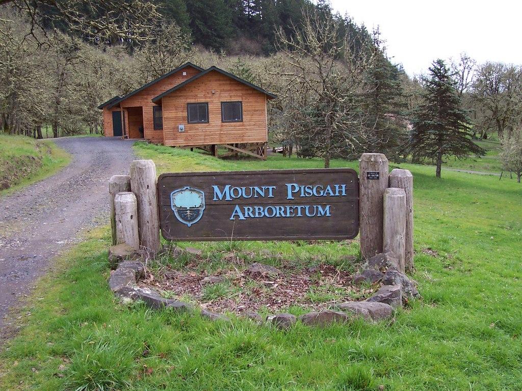 A wooden sign on posts in a grassy field near a cabin.