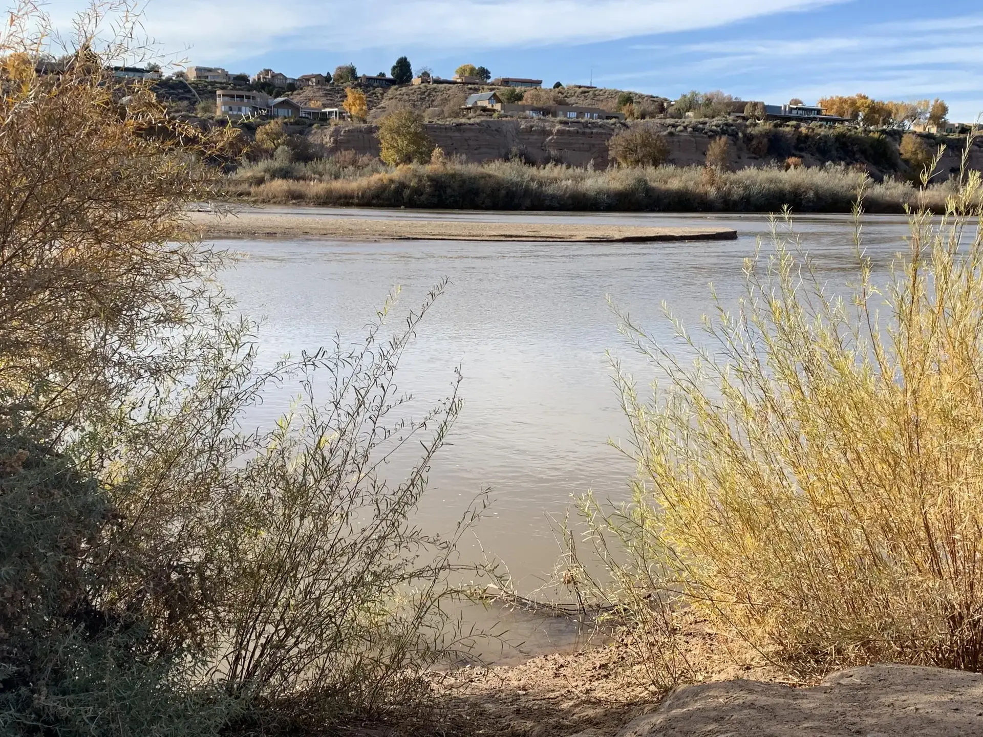 Wide river with distant houses on a bluff, framed by bushes.