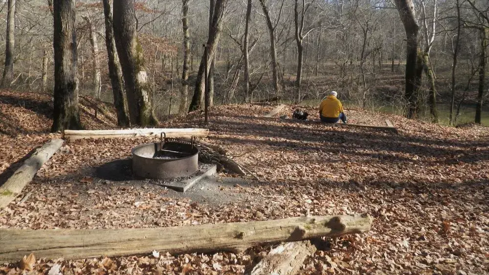 Person in yellow jacket sitting near a fire pit in a sunny, leaf-covered forest.
