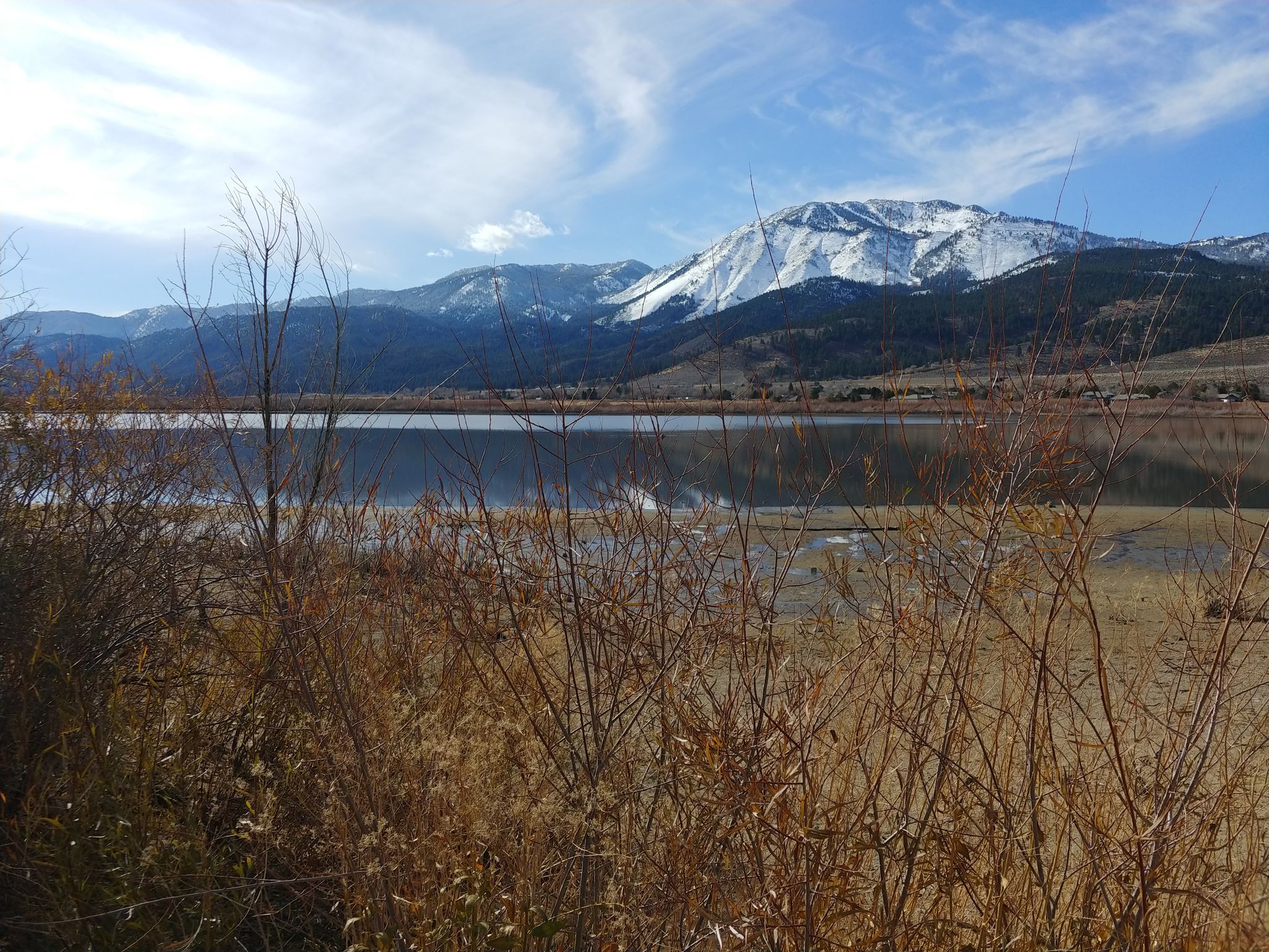 Dry brush, calm lake, and majestic snow-capped mountains under a partly cloudy sky. - Washoe Valley Loop