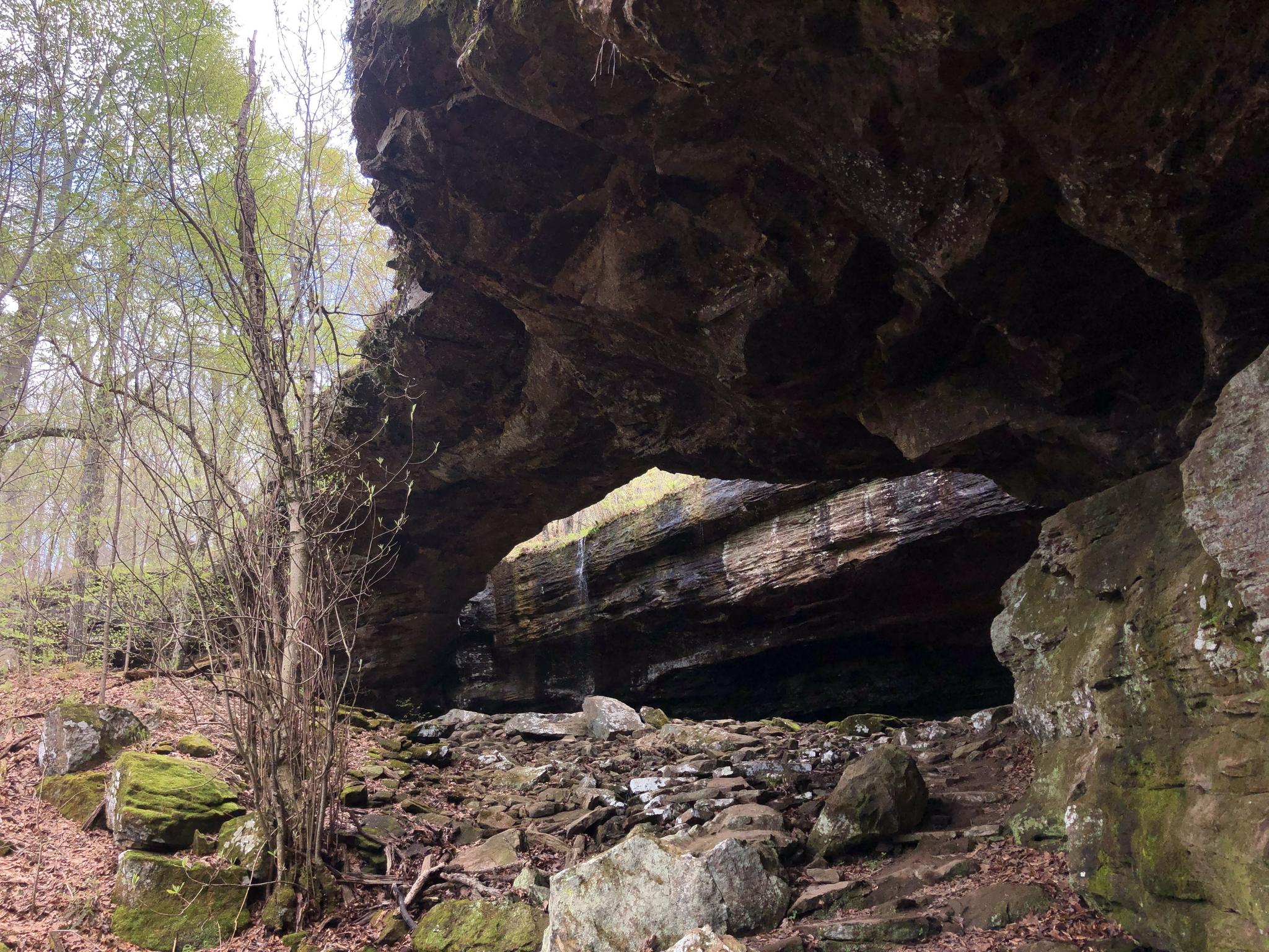 Large rock overhang with rocky ground and trees in diffused light.