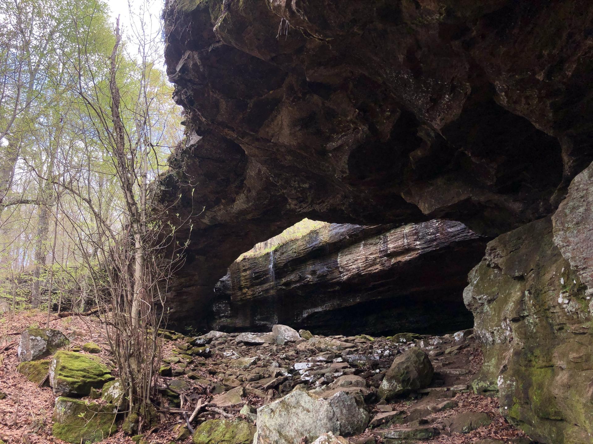 Large rock overhang with rocky ground and trees in diffused light.