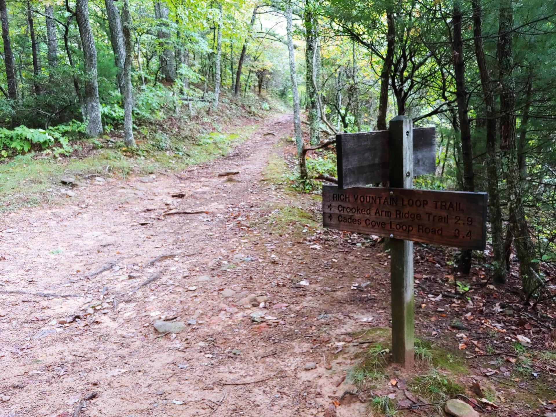 A rustic wooden trail sign on a dirt path in a green forest.