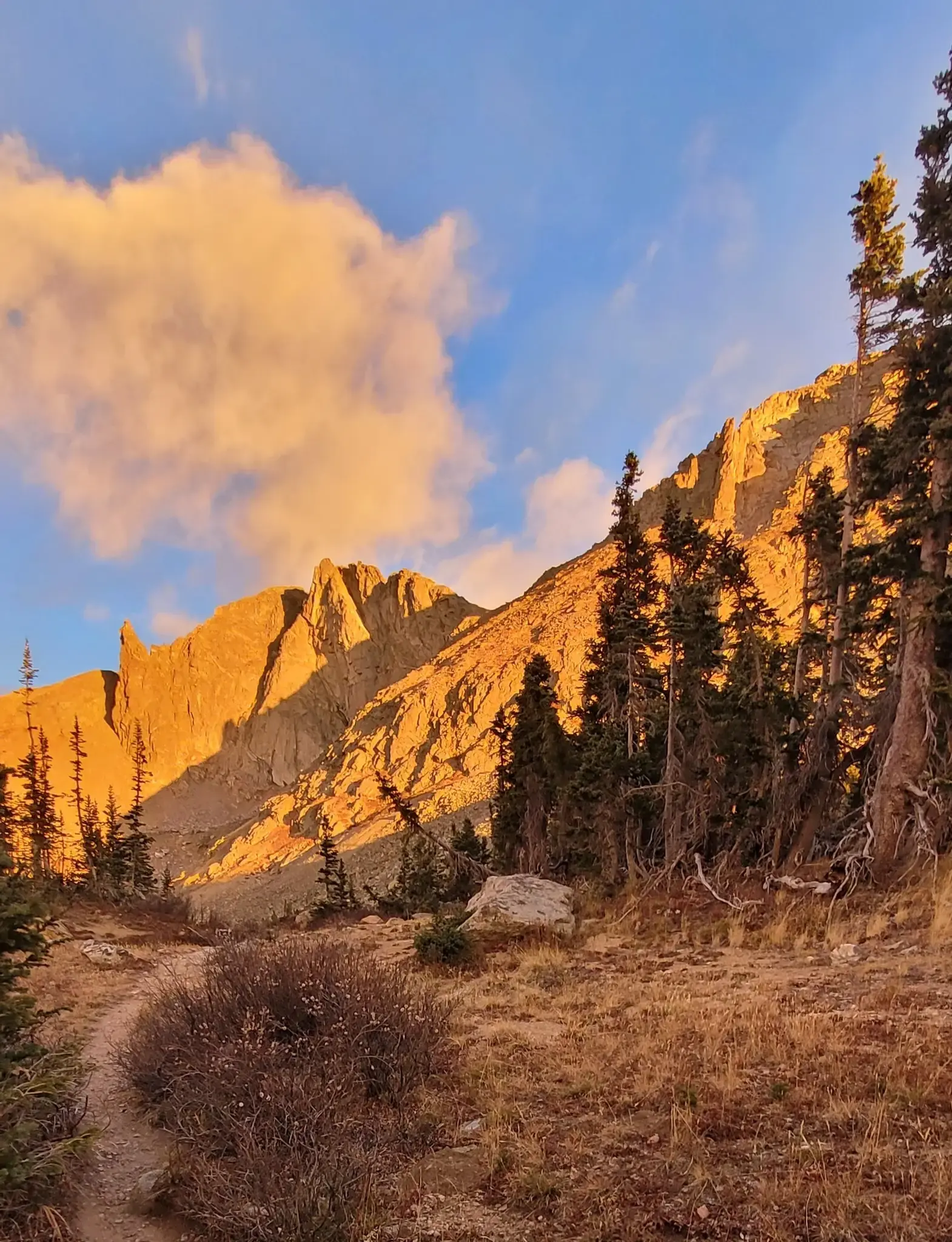 Rugged mountains bathed in golden sunset light, with pine trees and a path.