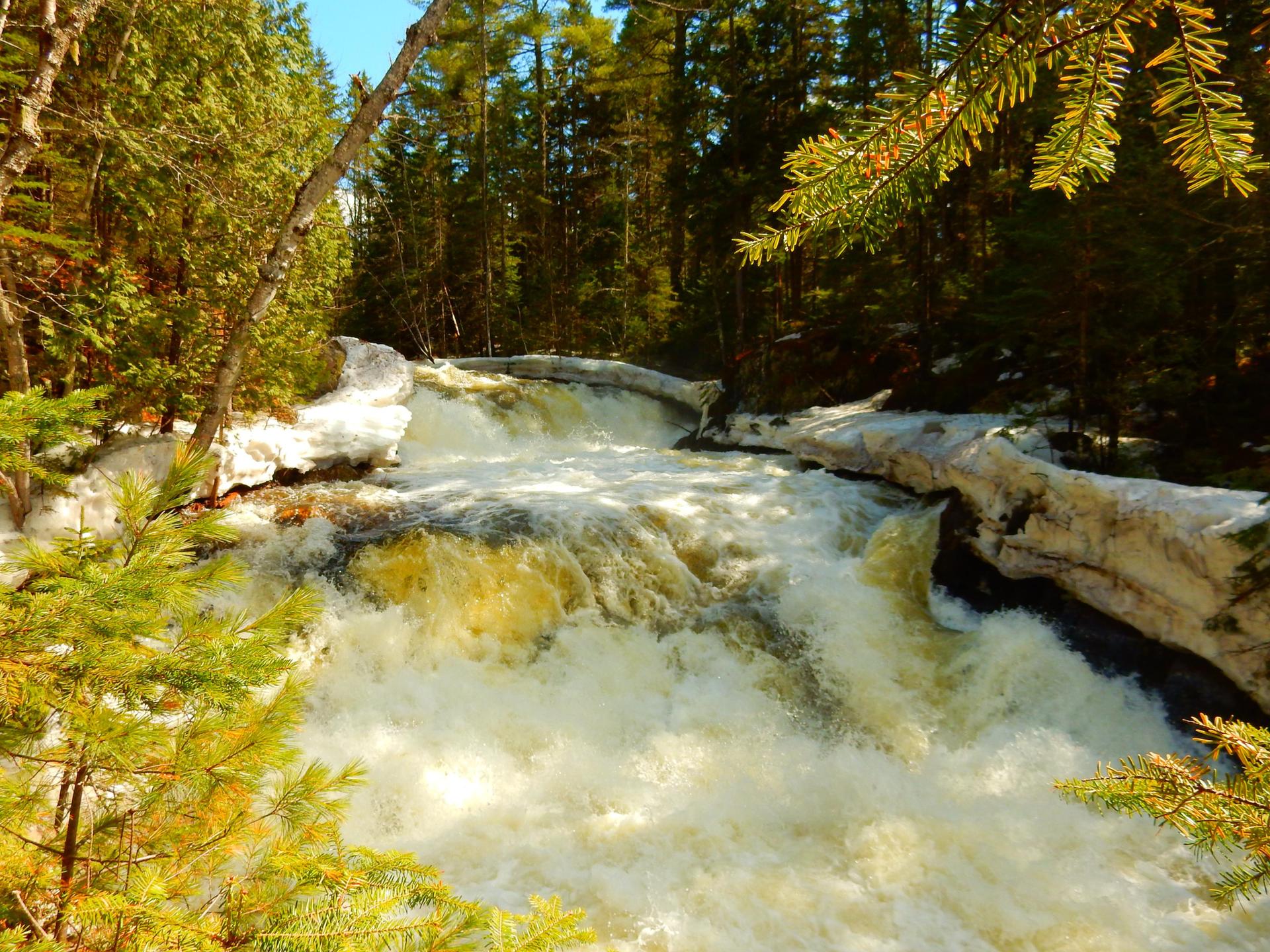 Rushing waterfall in a sunlit forest with snow-covered banks and fallen logs.
