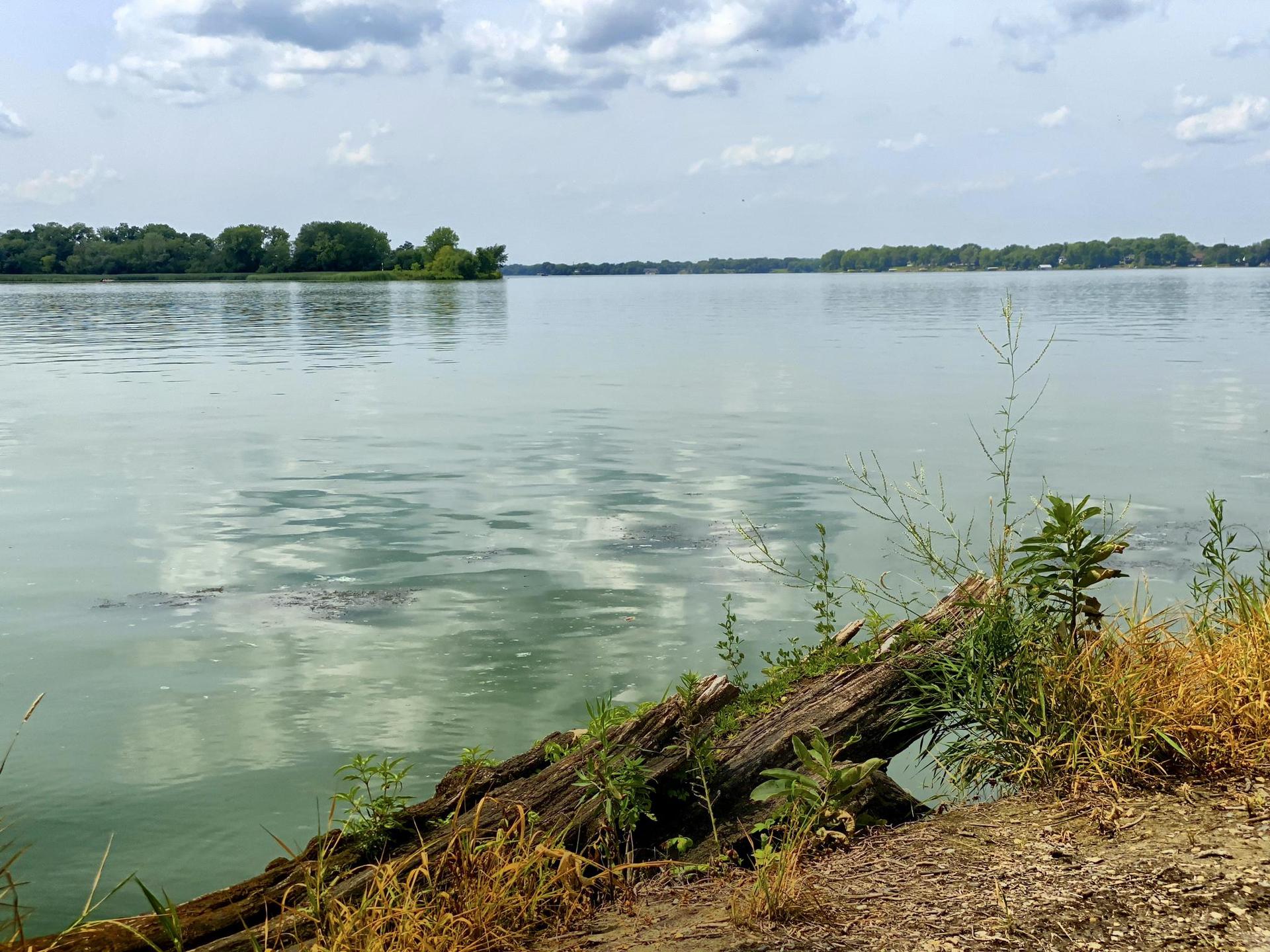 Wide lake with a fallen log in the foreground, cloudy sky.