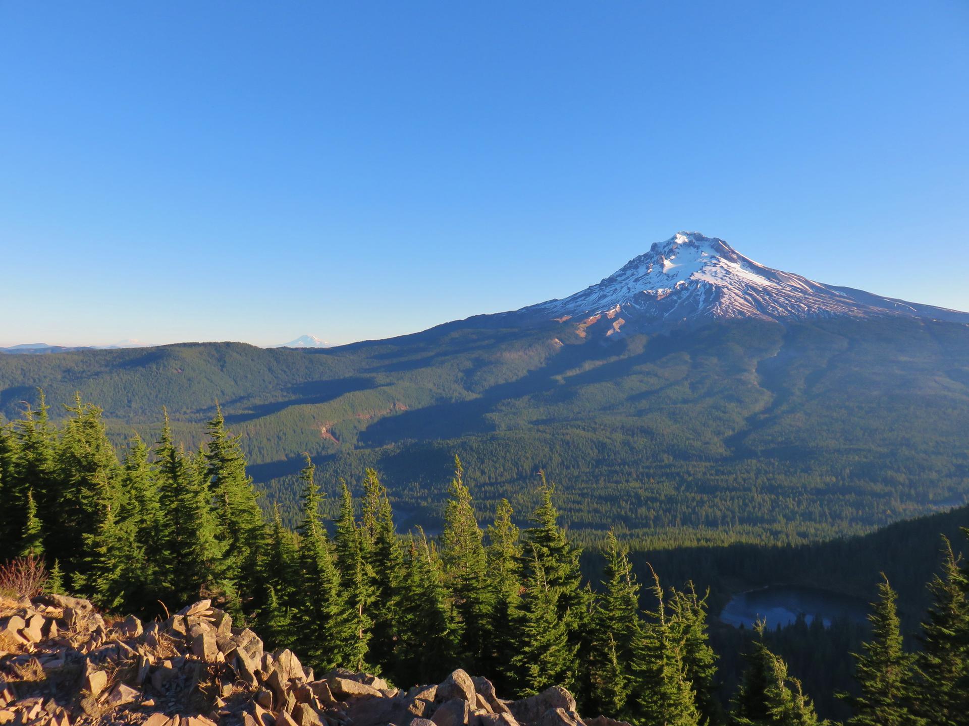 Snow-capped mountain peak under clear blue sky, towering over a vast evergreen forest.