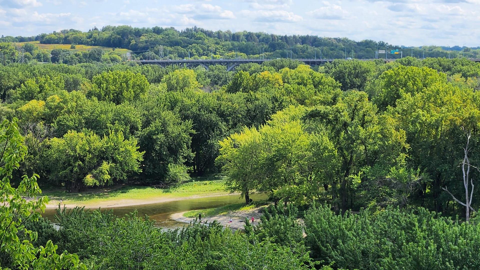 Panoramic view of a wide river flowing through dense green forest, distant bridge.